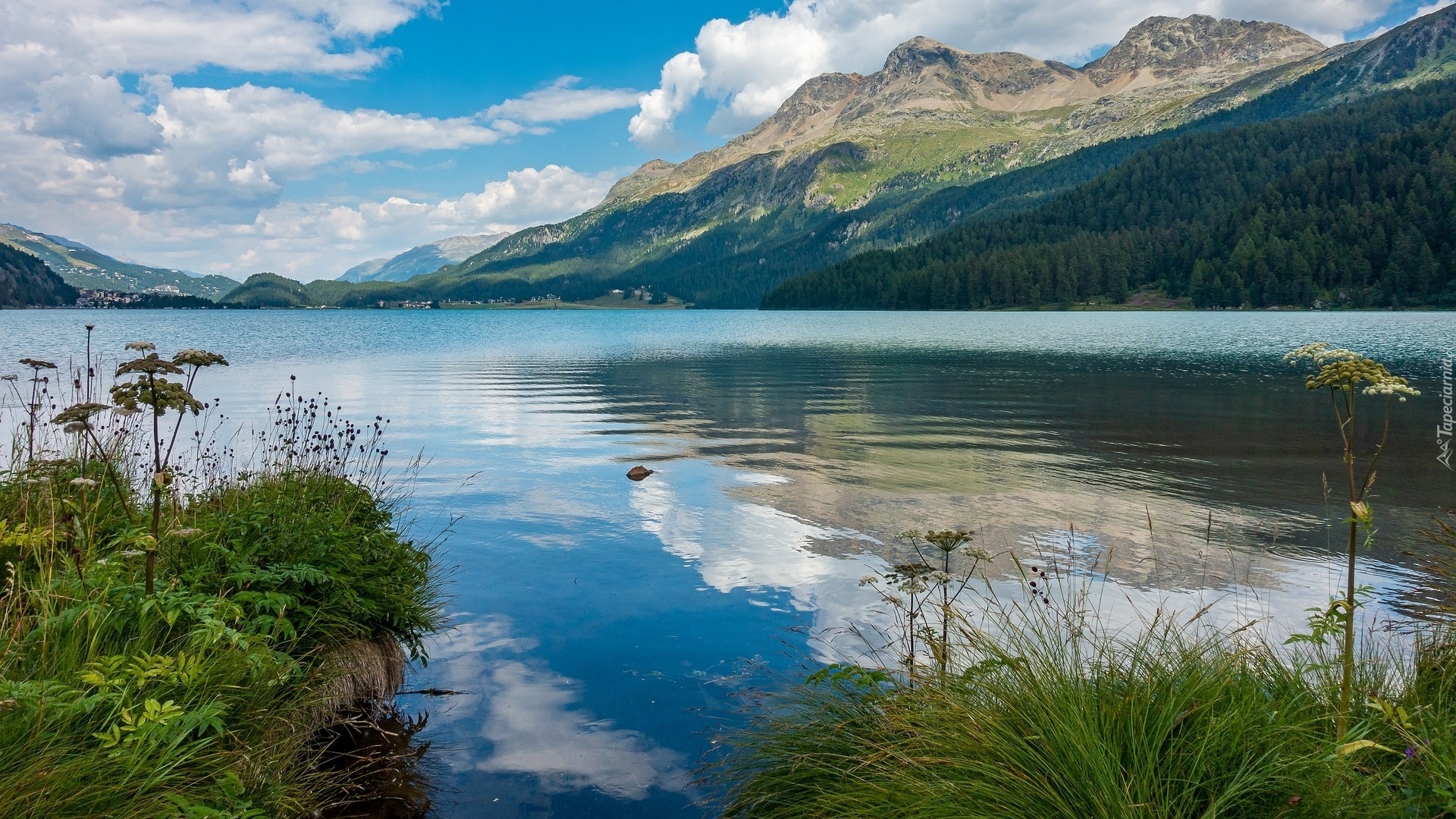 Góry, Jezioro, Silsersee, Rośliny, Trawa, Szwajcaria