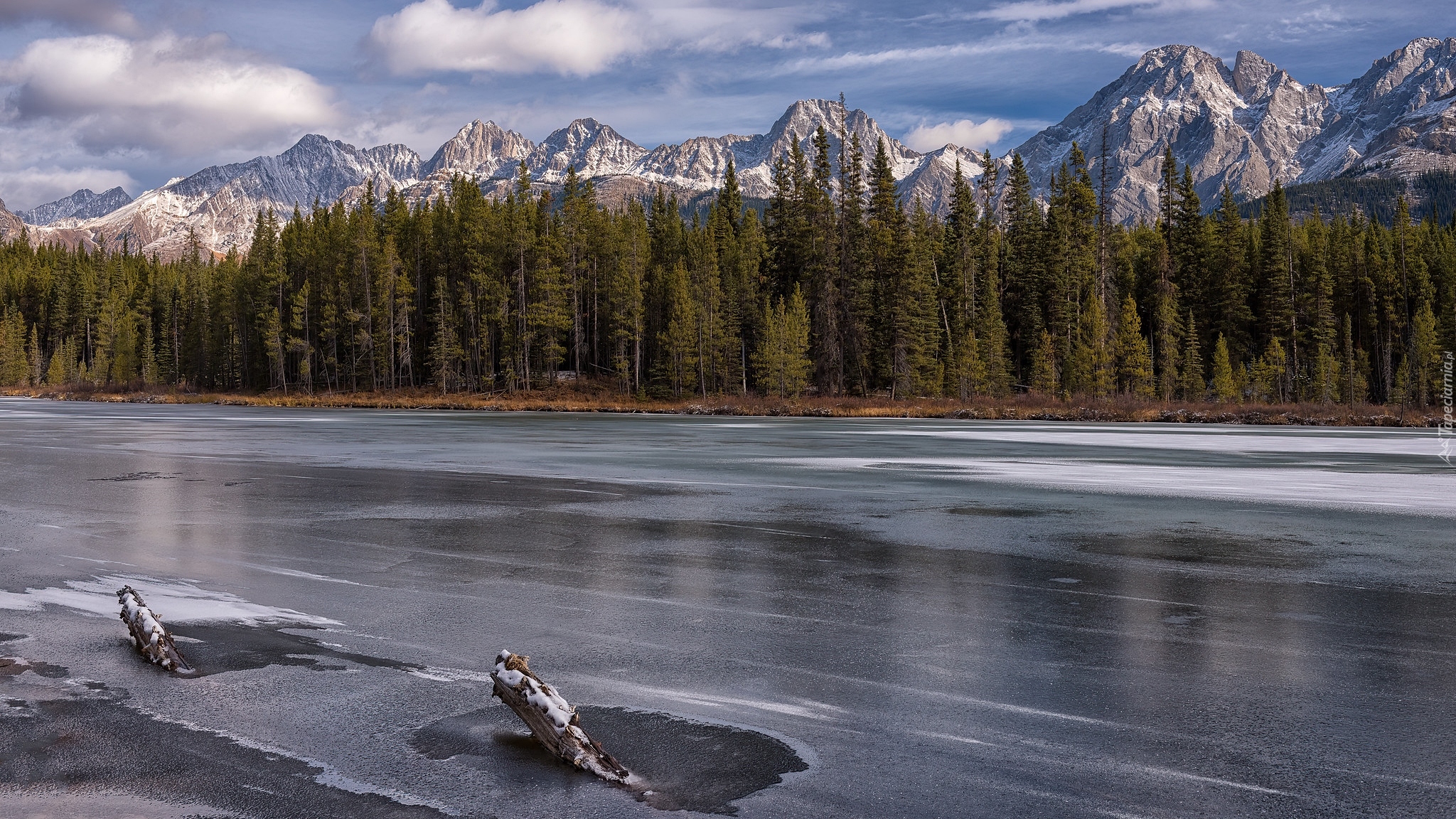 Drzewa, Las, Jezioro, Spillway Lake, Zima, Opal Mountain Range, Alberta, Kanada