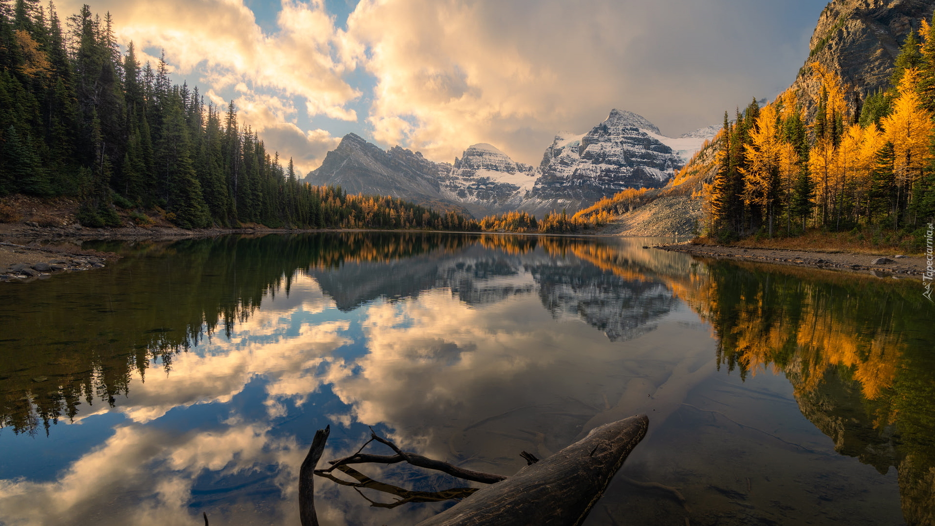 Jezioro, Sunburst Lake, Góry, Canadian Rockies, Par prowincjonalny Mount Assiniboine, Drzewa, Jesień, Kolumbia Brytyjska, Kanada