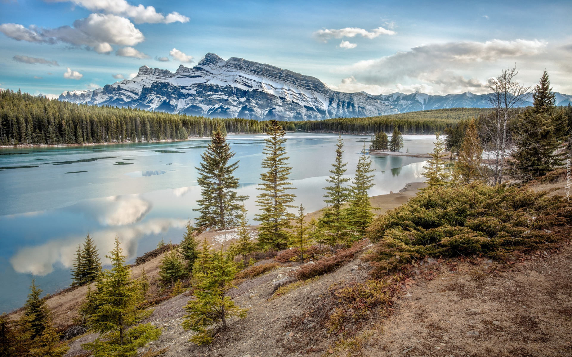 Góry, Góra, Mount Rundle, Lasy, Drzewa, Jezioro, Two Jack Lake, Park Narodowy Banff, Prowincja Alberta, Kanada