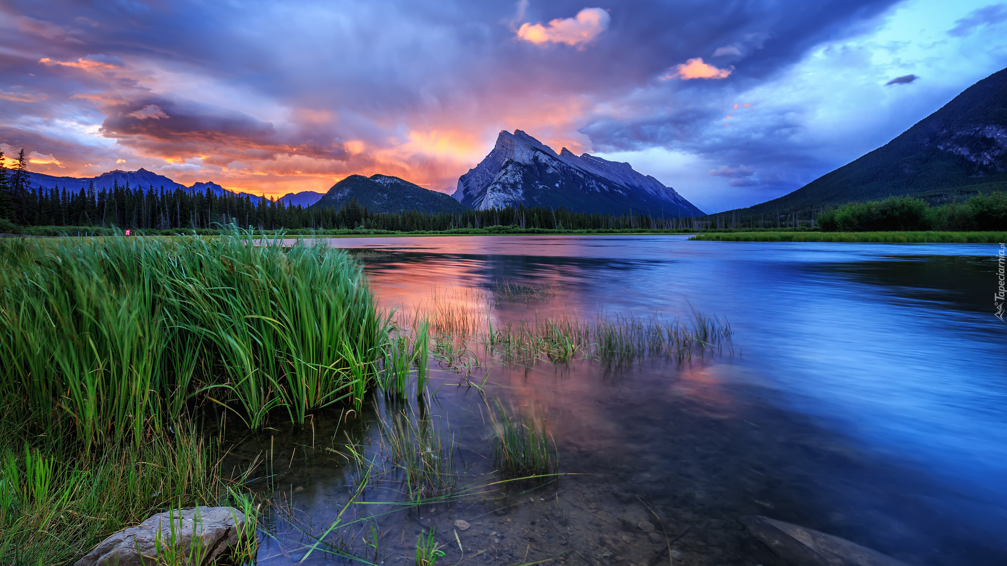 Park Narodowy Banff, Góry, Canadian Rockies, Góra, Mount Rundle, Jezioro, Vermilion Lakes, Trawy, Niebo, Chmury, Wschód słońca, Kanada