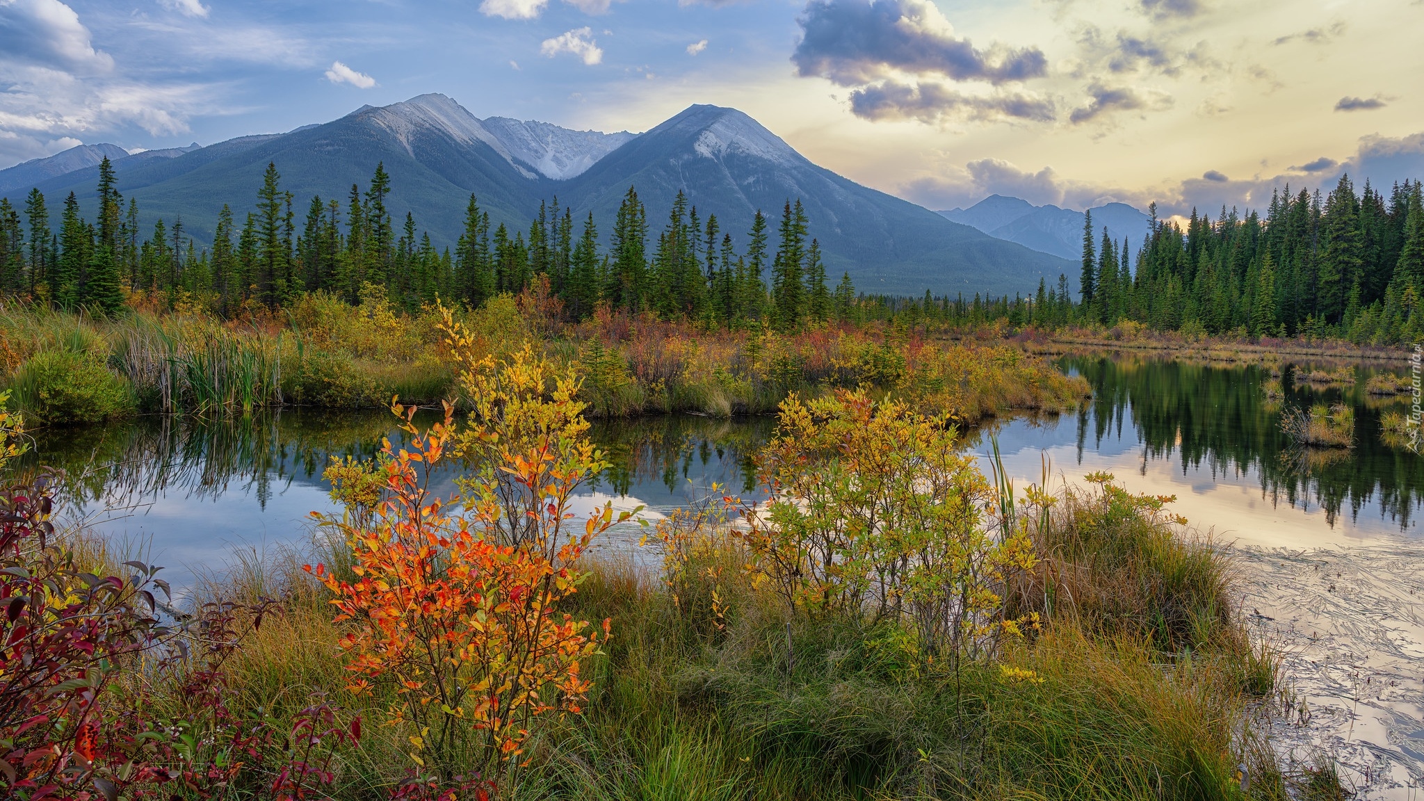 Kanada, Alberta, Park Narodowy Banff, Góry, Jezioro, Vermilion Lake, Drzewa, Jesień