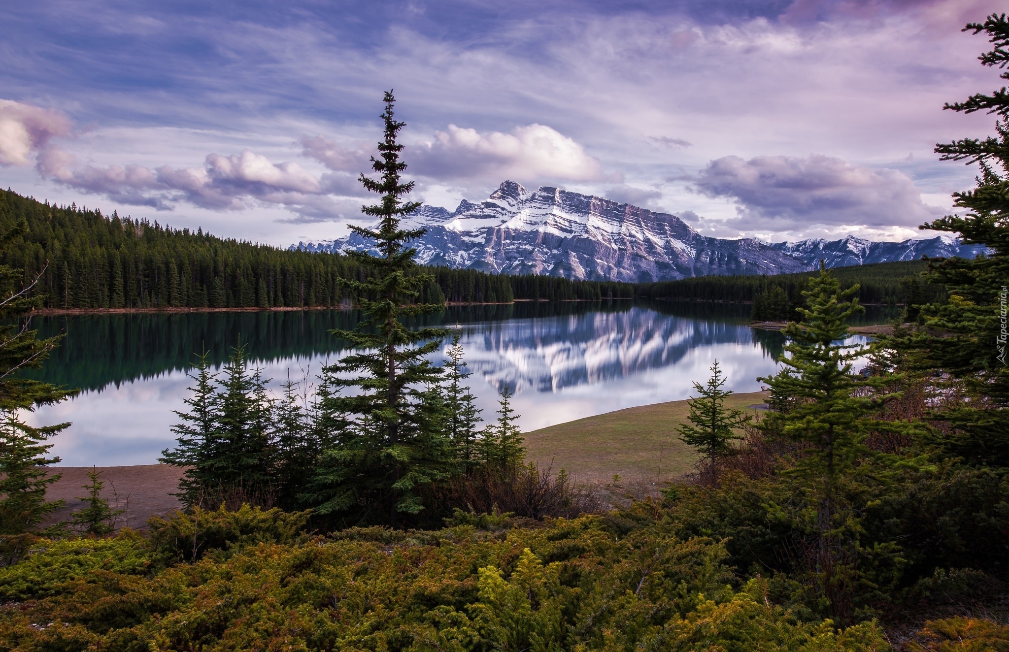 Kanada, Park Narodowy Banff, Jezioro Vermilion, Góry, Szczyt Mount Rundle, Lasy, Świerki