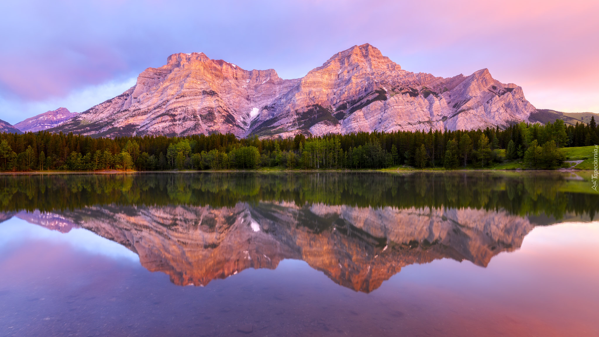 Góry Canadian Rockies, Jezioro Wedge Pond, Drzewa, Odbicie, Park Kananaskis, Alberta, Kanada