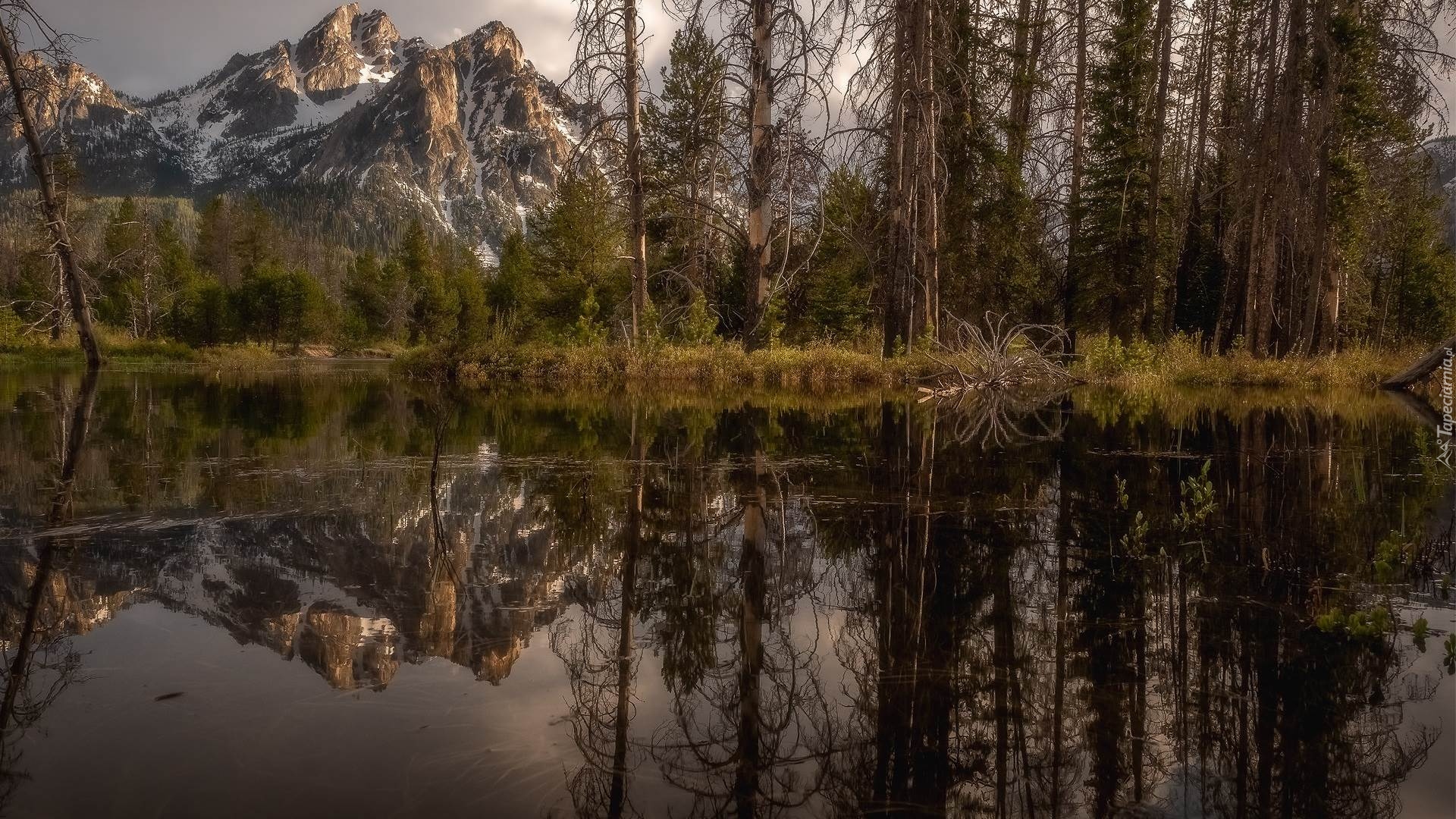 Góry, Sawtooth Range, Góra, McGown Peak, Potok, Rzeka, Stanley Creek, Drzewa, Rośliny, Odbicie, Stan Idaho, Stany Zjednoczone