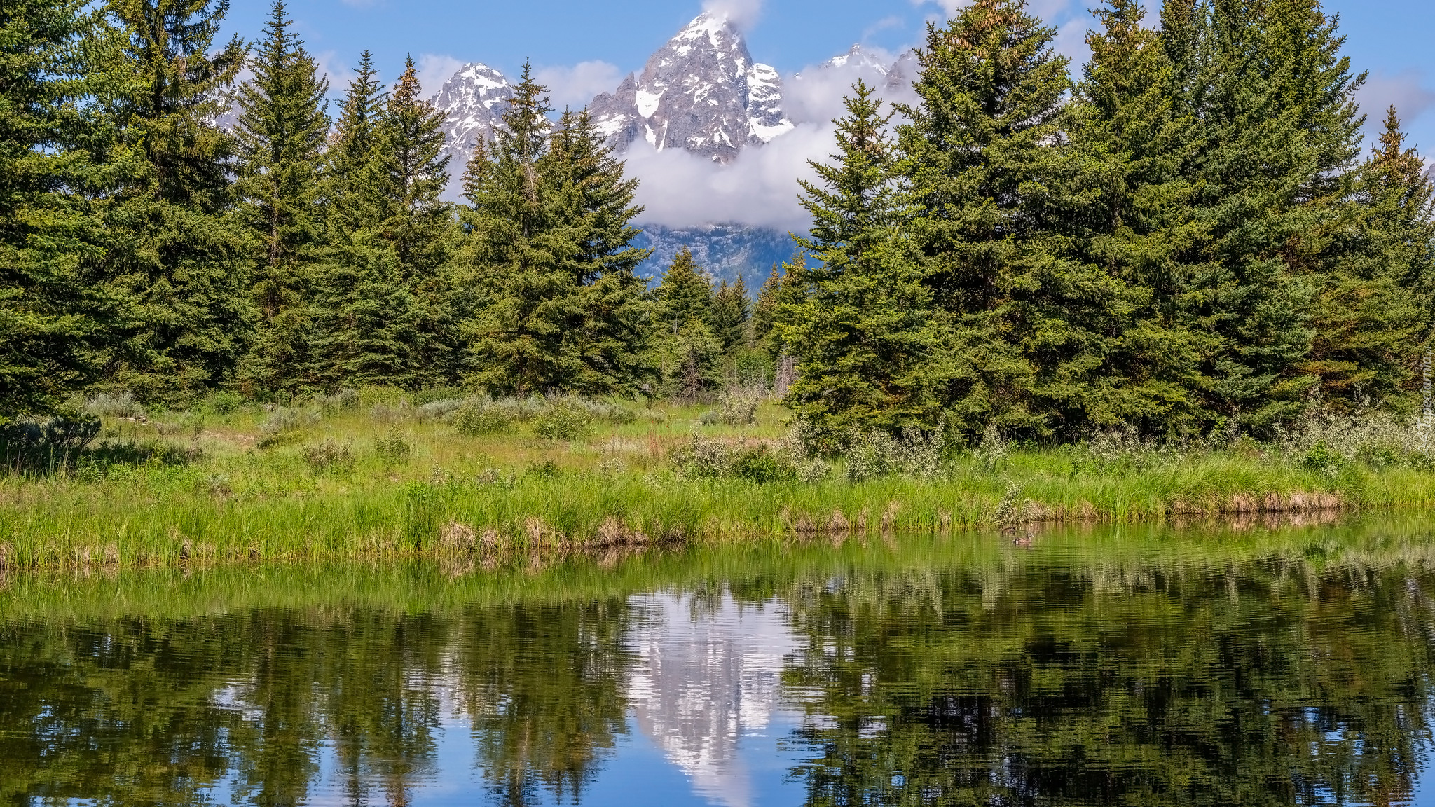 Drzewa, Rzeka, Góry, Chmury, Park Narodowy Grand Teton, Wyoming, Stany Zjednoczone