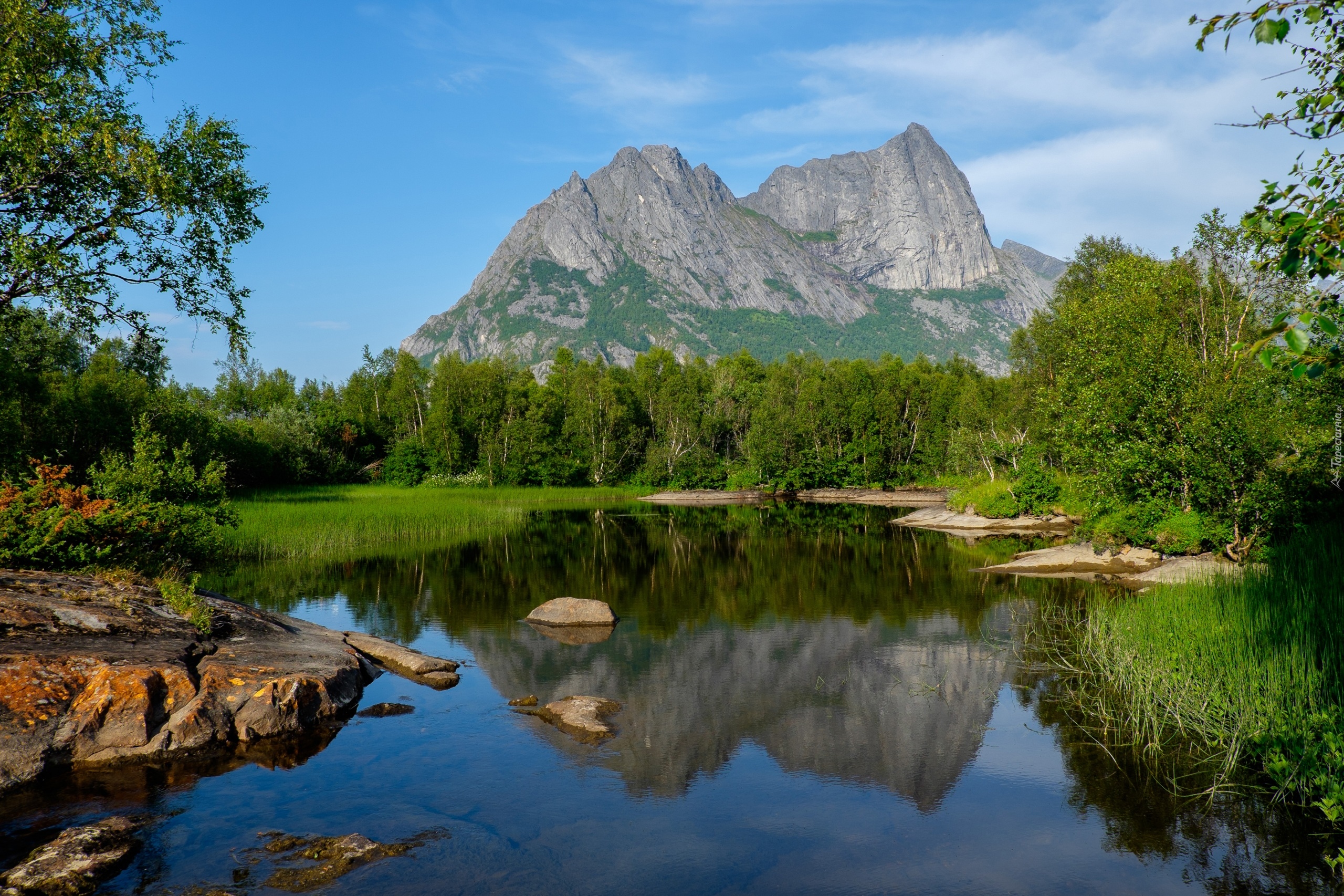 Norwegia, Okręg Nordland, Góry Strandåtinden, Rzeka Strandåga, Drzewa