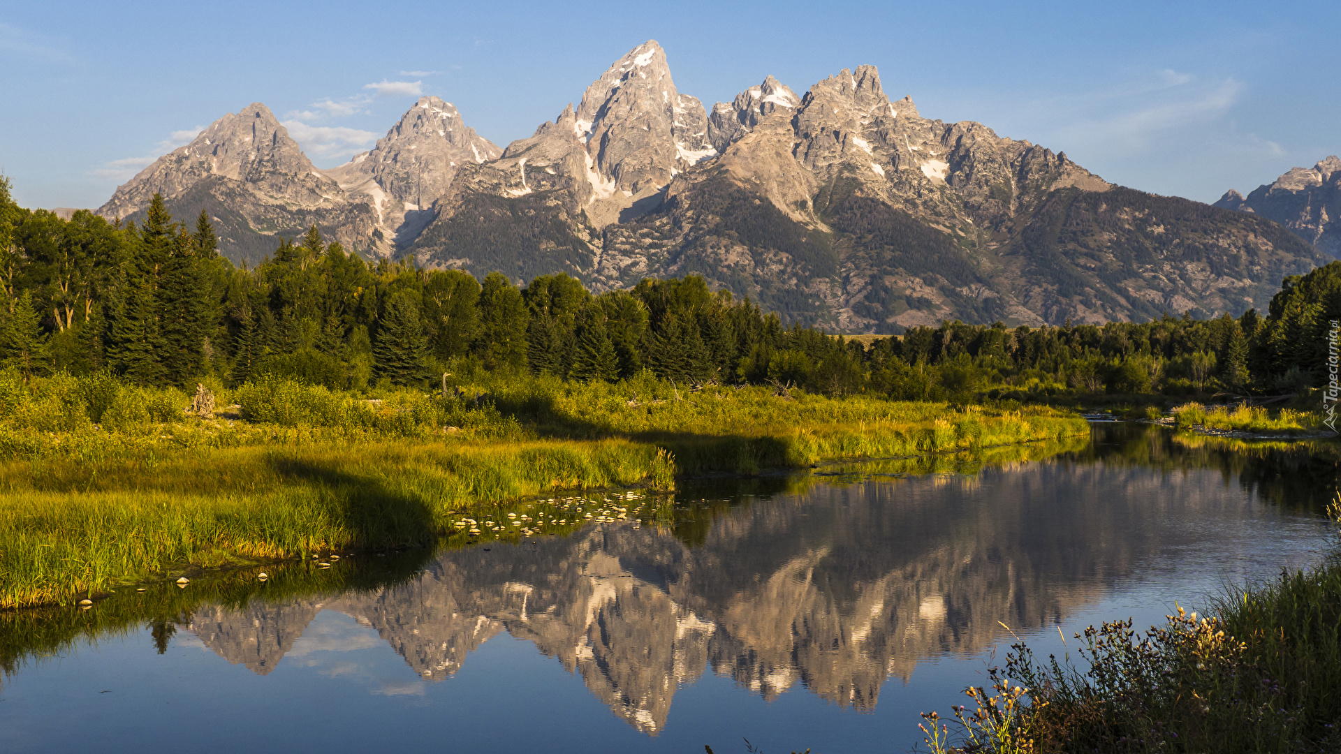 Park Narodowy Grand Teton, Rzeka, Góry, Teton Range, Drzewa, Odbicie, Stan Wyoming, Stany Zjednoczone