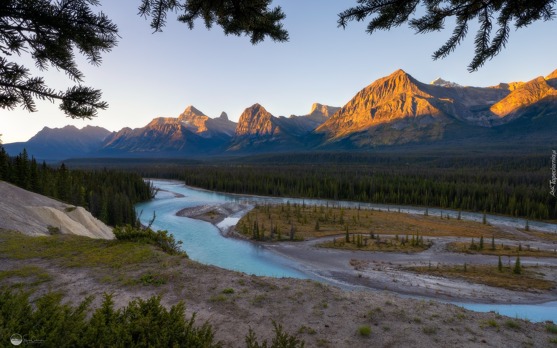 Kanada, Alberta, Park Narodowy Jasper, Góry, Canadian Rockies, Rzeka, Las, Drzewa