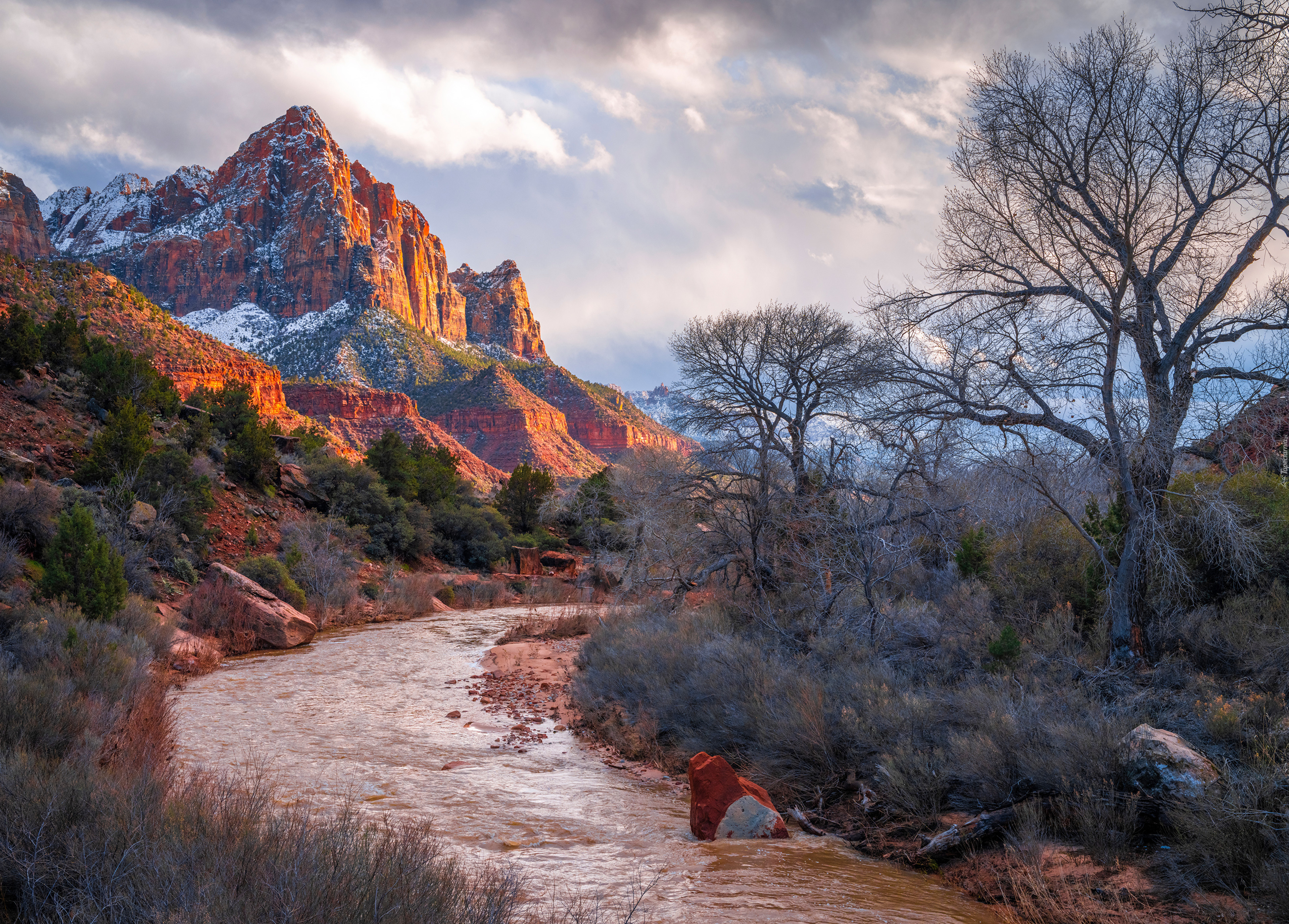 Stany Zjednoczone, Utah, Park Narodowy Zion, Rzeka, Virgin River, Góry, Góra Watchman, Drzewa