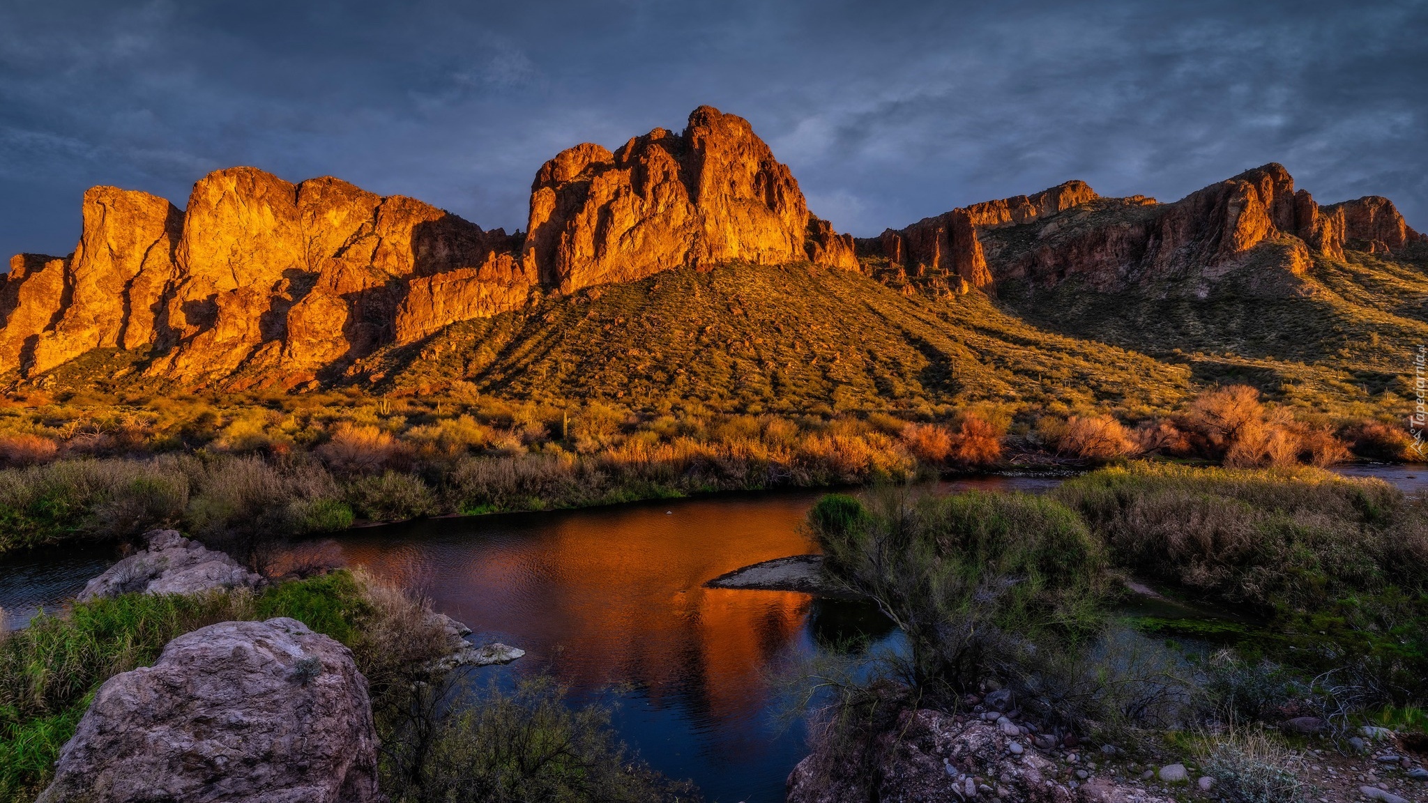 Stany Zjednoczone, Arizona, Góry, Goldfield Mountains, Rzeka, Salt River, Roślinność