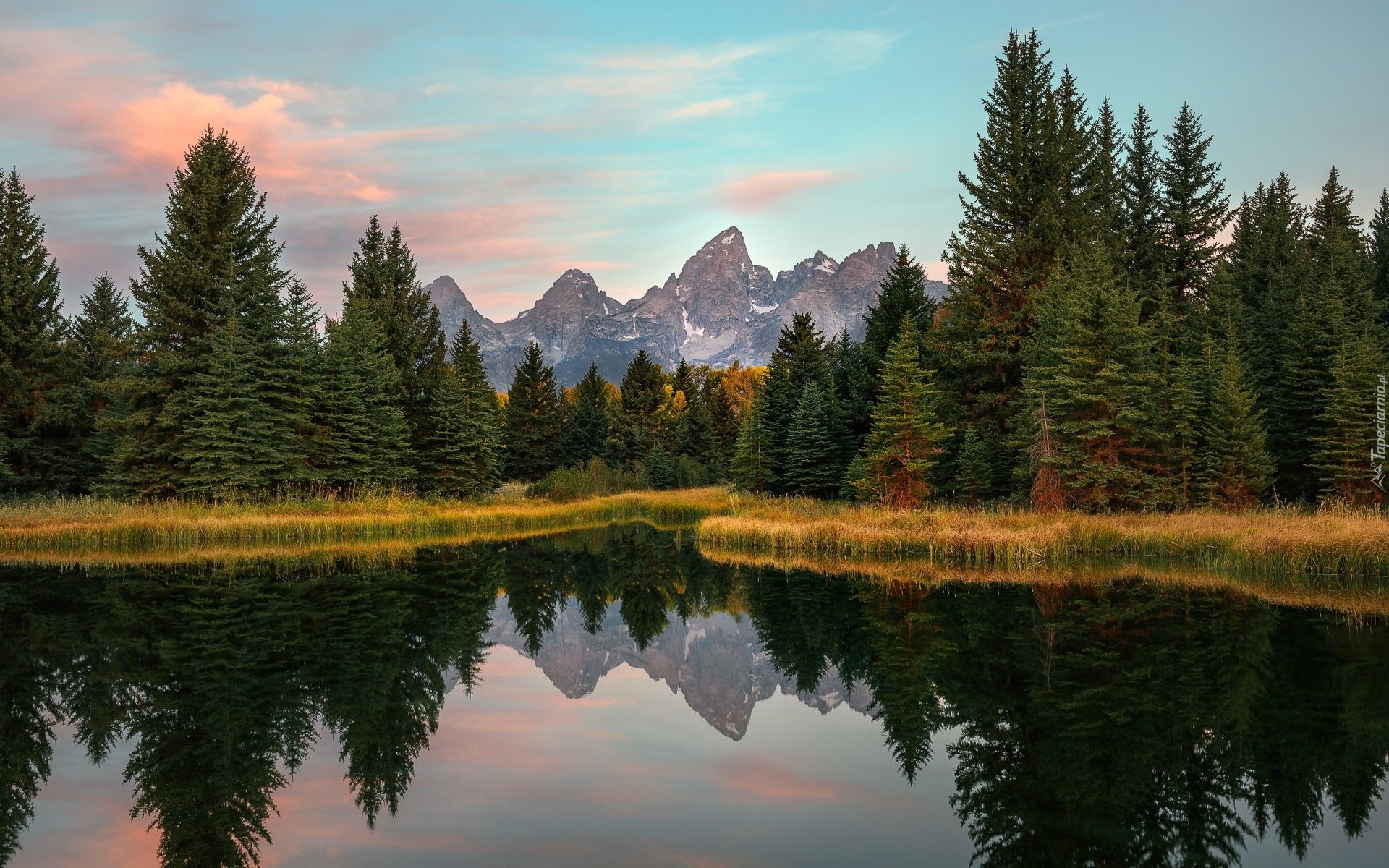 Park Narodowy Grand Teton, Rzeka Snake River, Góry Teton Range, Las, Drzewa, Odbicie, Stan Wyoming, Stany Zjednoczone