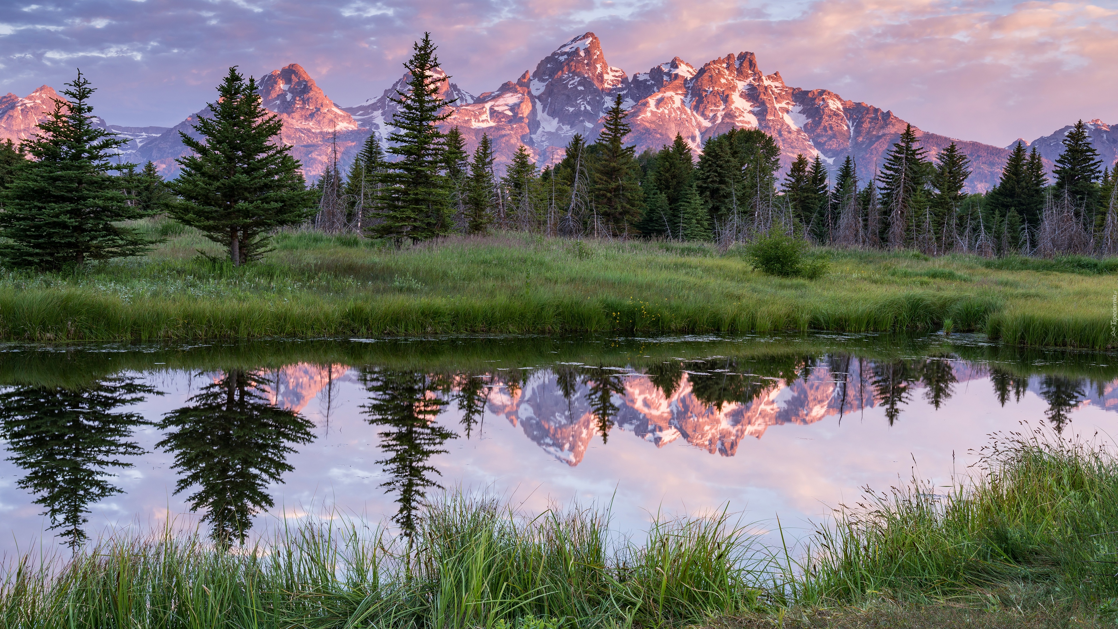 Drzewa, Góry, Teton Range, Rzeka, Snake River, Odbicie, Trawa, Lato, Park Narodowy Grand Teton, Stan Wyoming, Stany Zjednoczone