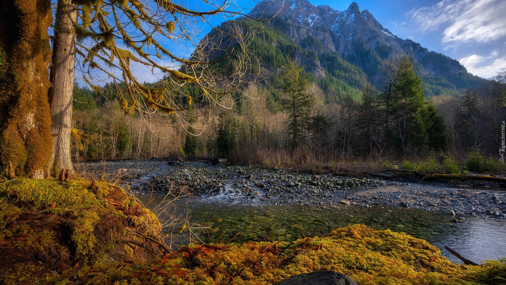 Góry, Góra, Garfield Peak, Kamienie, Rzeka, Taylor River, Drzewa, Dolina, Middle Fork Valley, Park Narodowy Jeziora Kraterowego, Oregon, Stany Zjednoczone