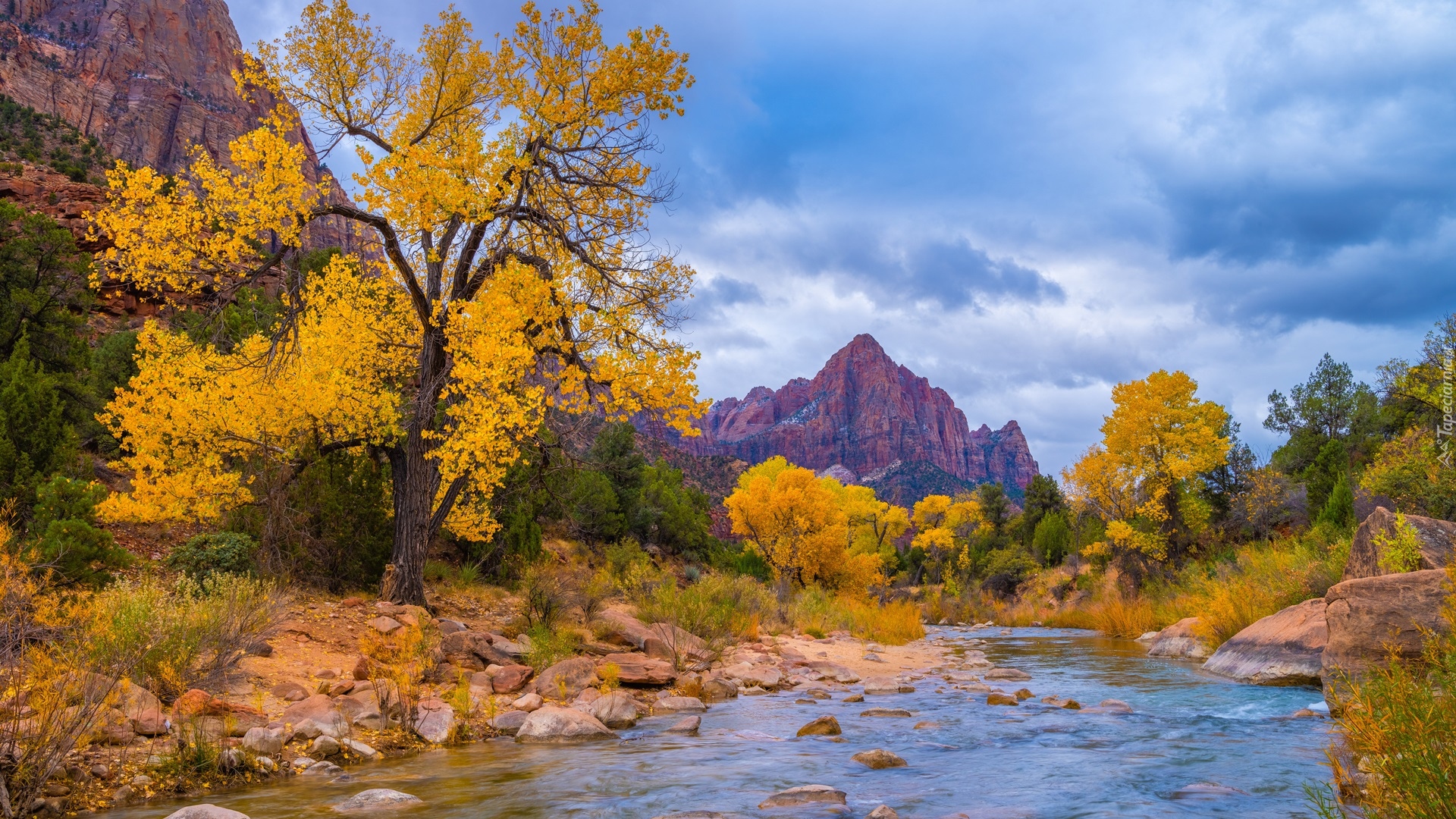 Jesień, Park Narodowy Zion, Góry, Góra Watchman, Drzewa, Rzeka Virgin River, Kamienie, Chmury, Stan Utah, Stany Zjednoczone