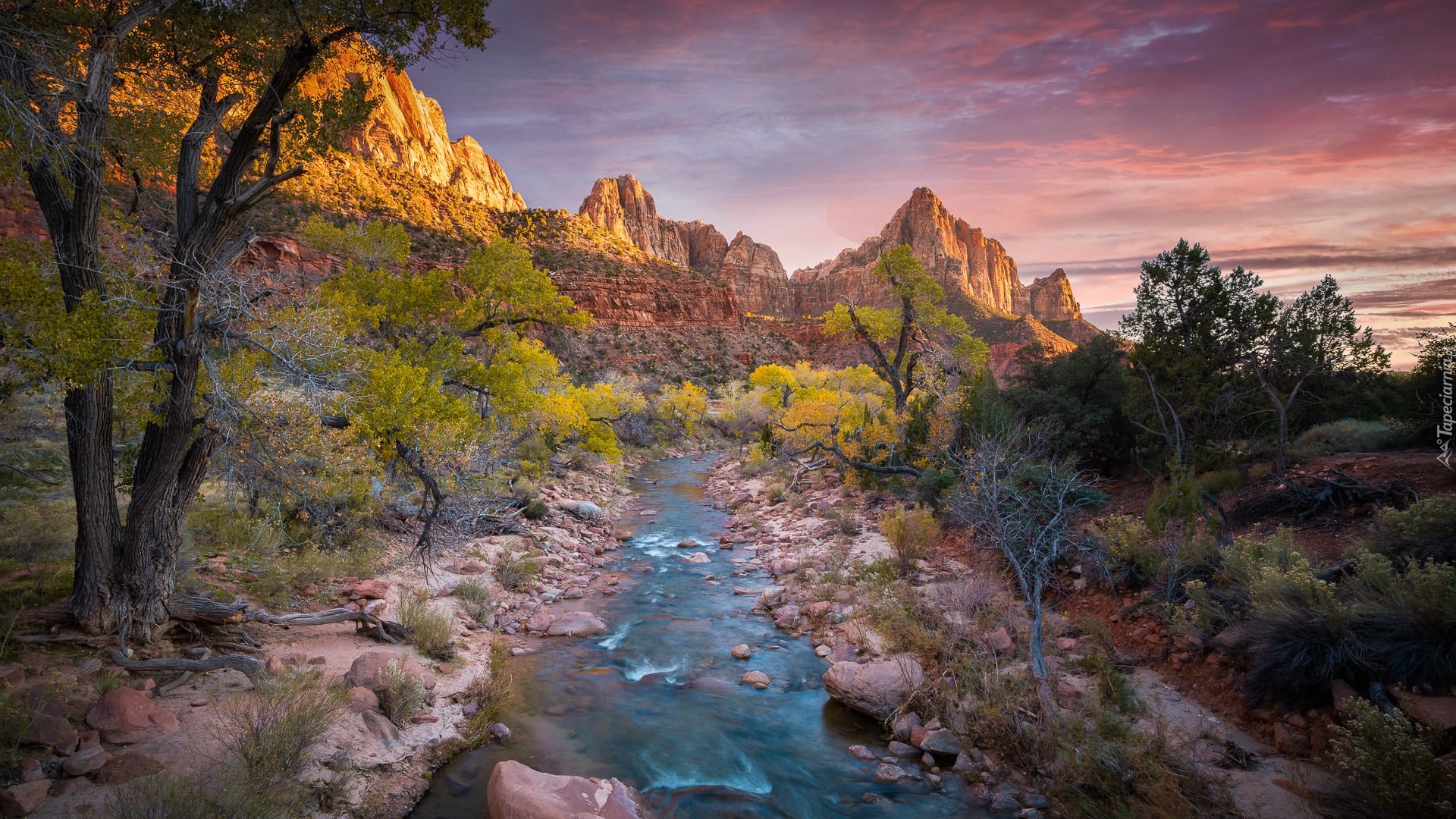 Góry, Góra Watchman, Rzeka, Virgin River, Drzewa, Park Narodowy Zion, Utah, Stany Zjednoczone