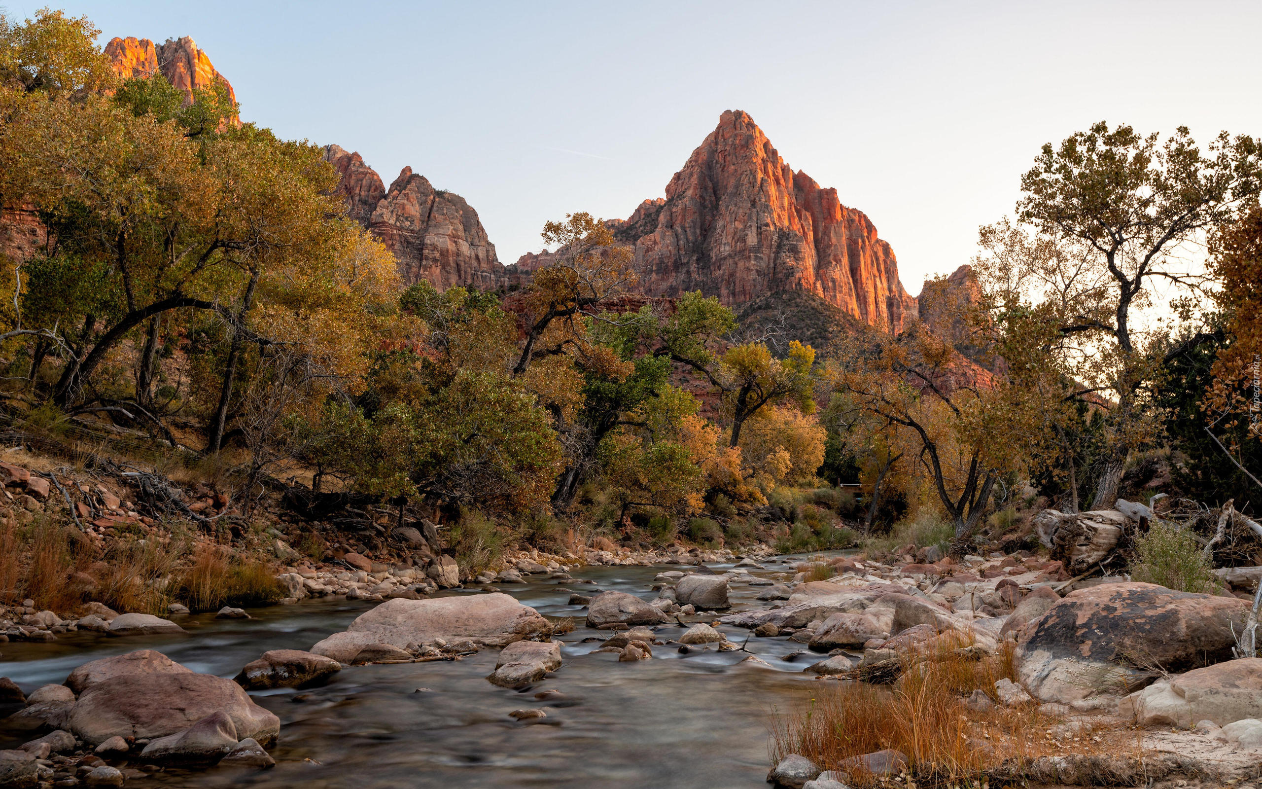 Park Narodowy Zion, Góra Watchman, Jesień, Drzewa, Góry, Kamienie, Rzeka, Virgin River, Stan Utah, Stany Zjednoczone