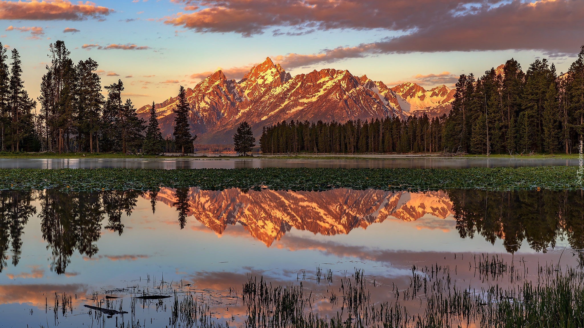 Park Narodowy Grand Teton, Góry Teton Range, Staw, Drzewa, Mgła, Chmury, Stan Wyoming, Stany Zjednoczone