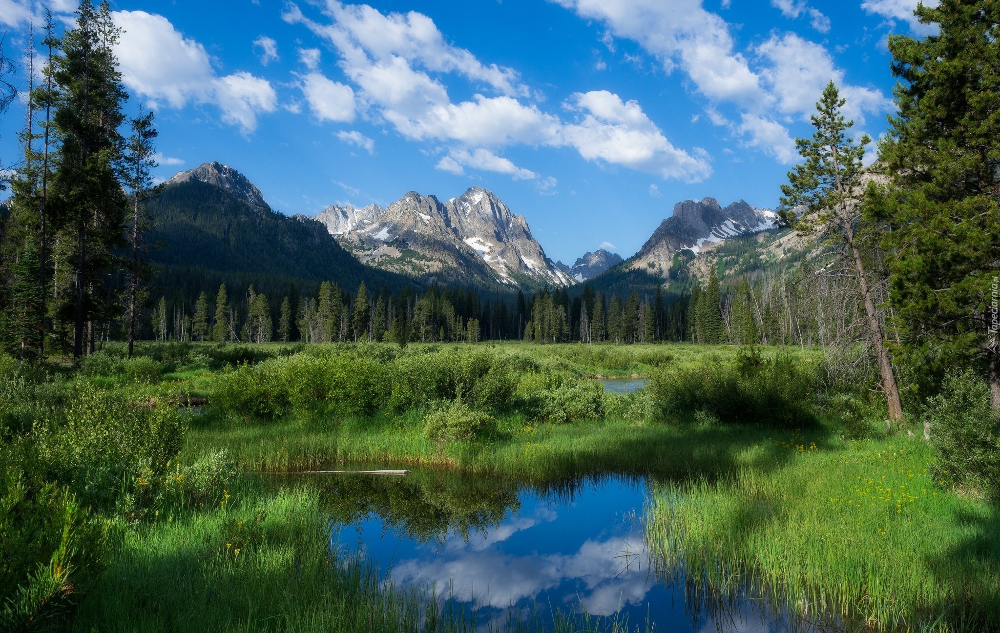 Stany Zjednoczone, Stan Idaho, Góry Sawtooth Range, Szczyt Horstmann Peak, Drzewa, Rozlewiska, Trawa