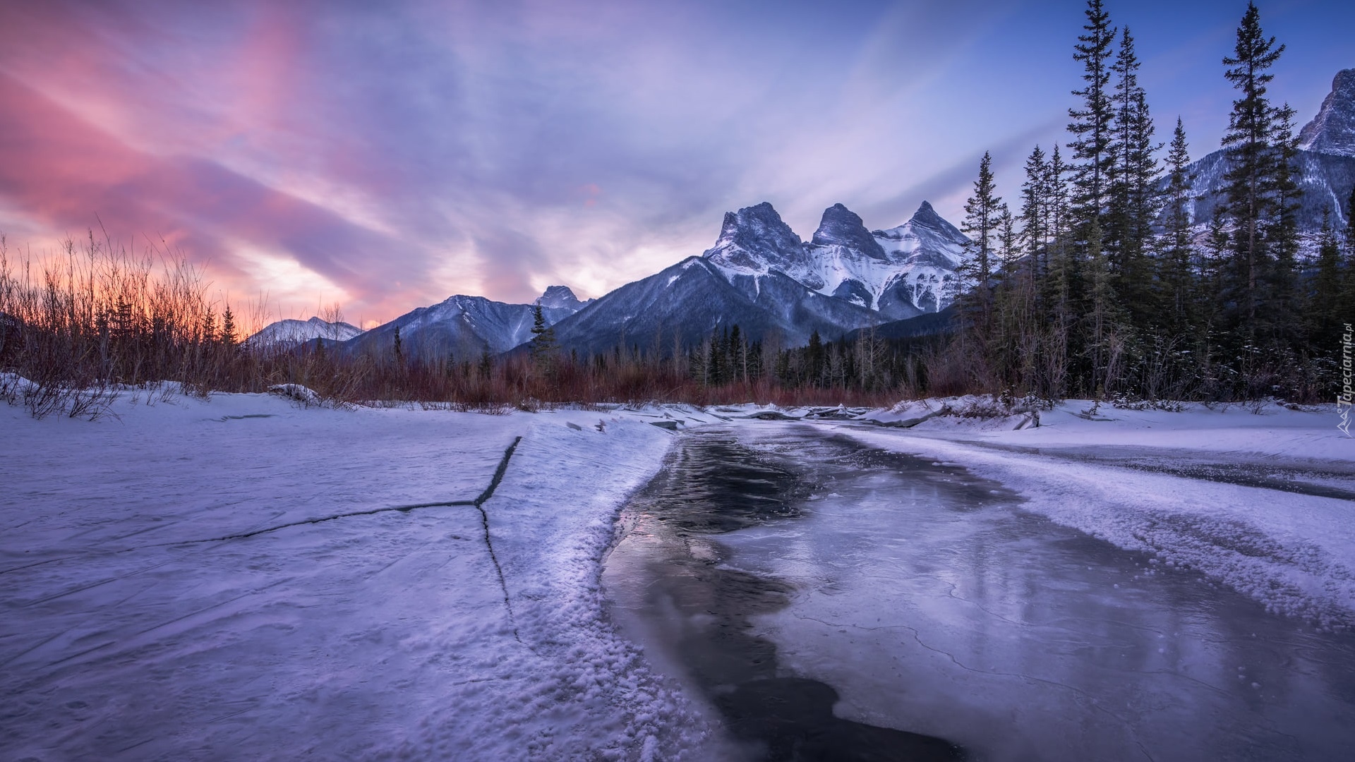 Kanada, Alberta, Canmore, Góry, Canadian Rockies, Góra Three Sisters, Rzeka, Bow River, Drzewa