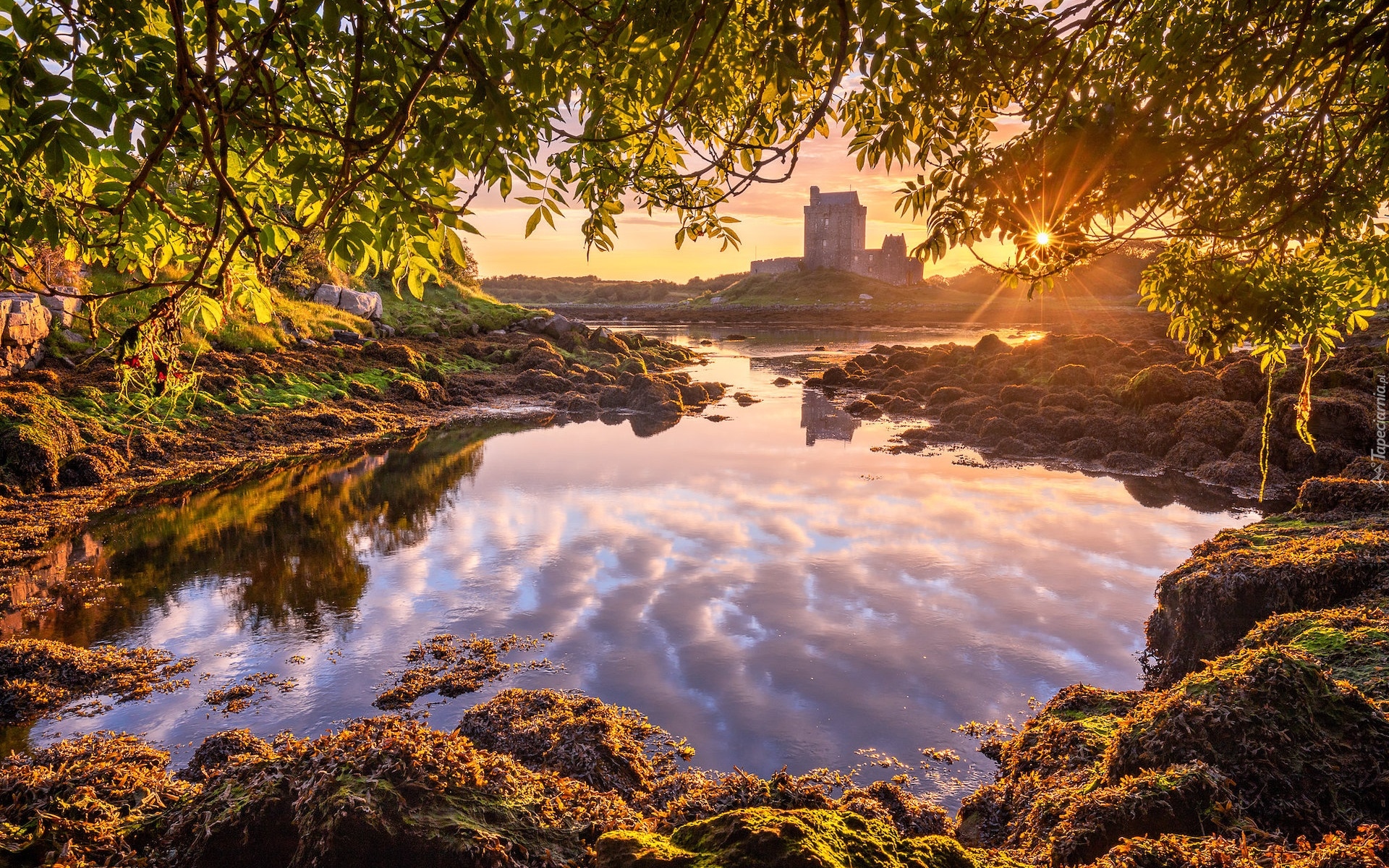 Irlandia, Hrabstwo Galway, Kinvara, Zamek, Dunguaire Castle, Drzewa, Promienie słońca, Zatoka Galway