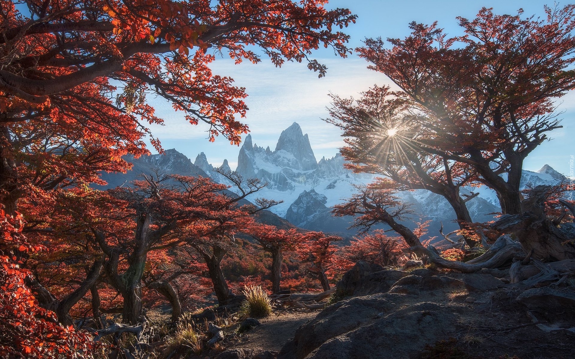 Argentyna, Park Narodowy Los Glaciares, Góry, Patagonia, Szczyt Fitz Roy, Jesień, Drzewa, Jesień, Promienie słońca