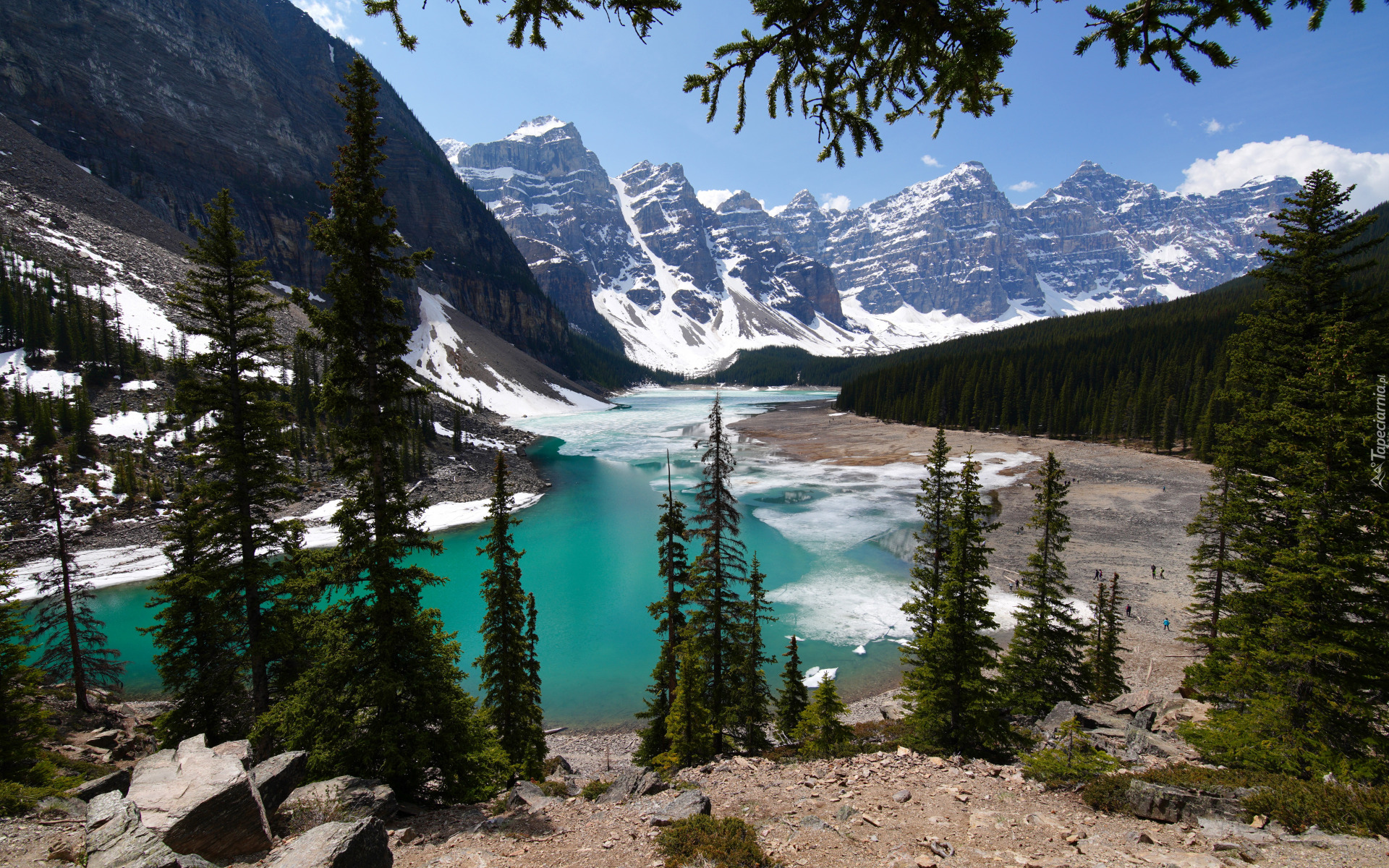 Las, Drzewa, Świerki, Jezioro Moraine, Kanadyjskie Góry Skaliste, Śnieg, Dolina, Dziesięciu Szczytów, Park Narodowy Banff, Alberta, Kanada