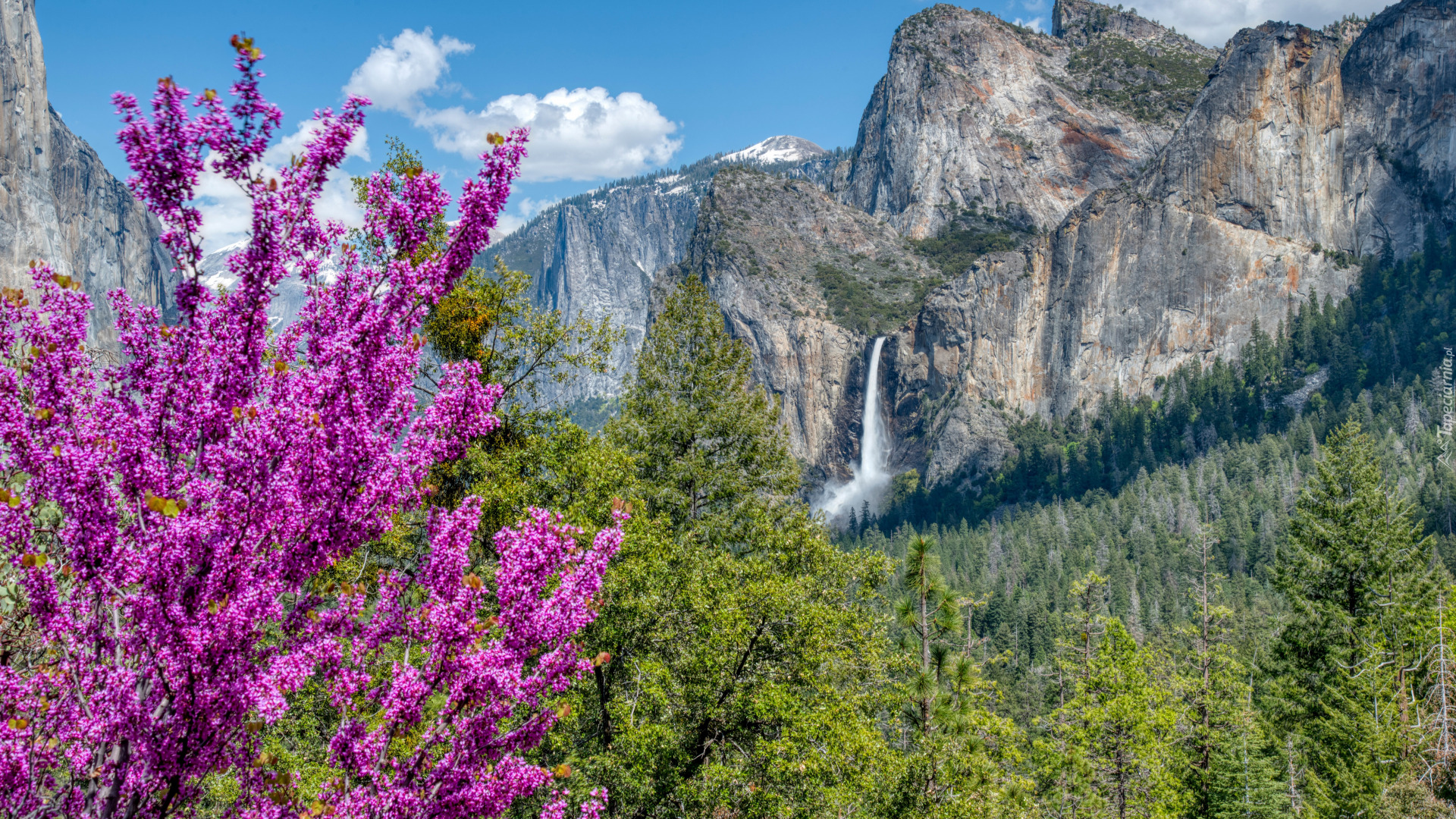 Drzewa, Góry, Sierra Nevada, Wodospad, Bridalveil Fall, Park Narodowy Yosemite, Kalifornia, Stany Zjednoczone