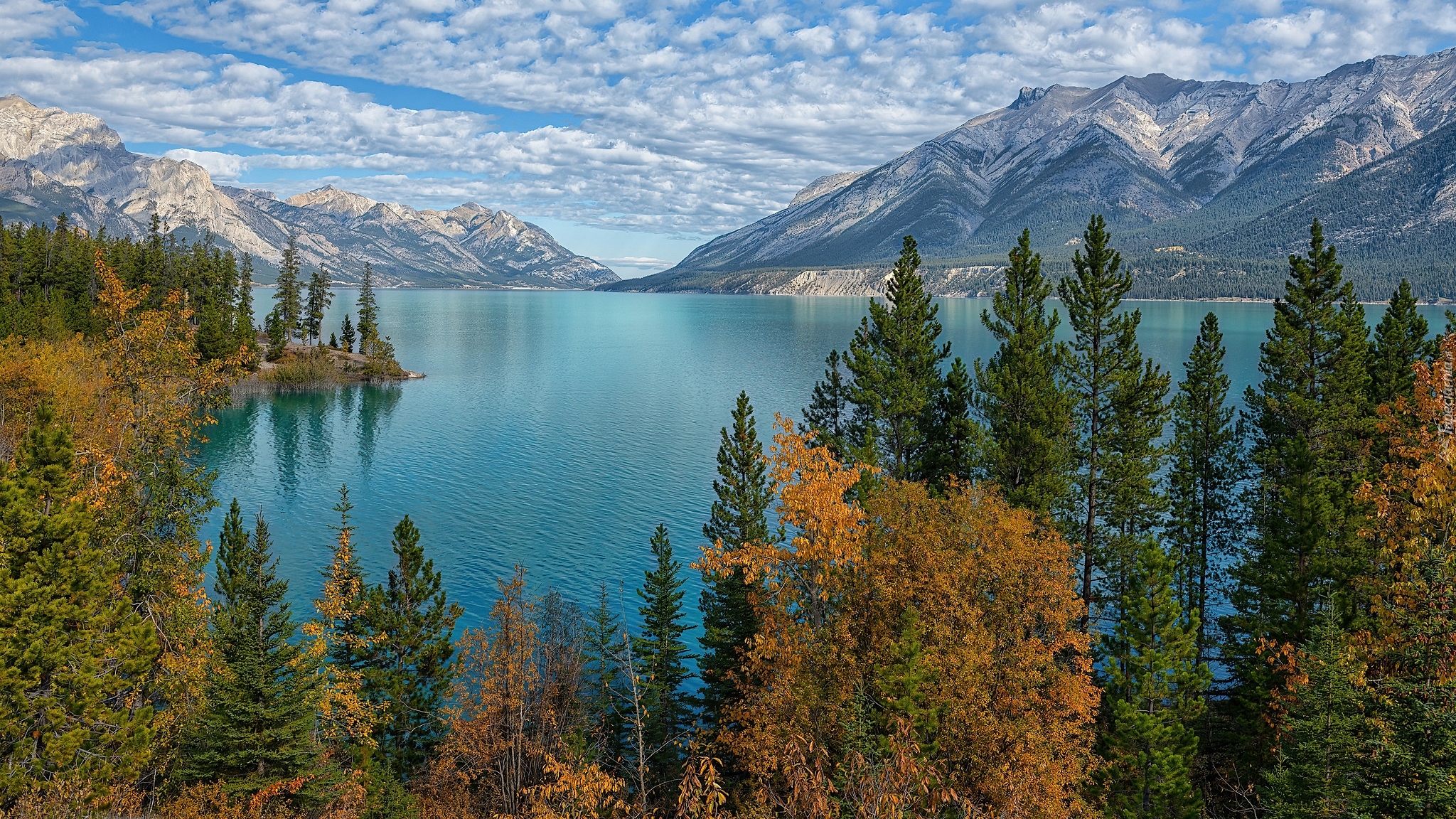 Góry Skaliste, Canadian Rockies, Jezioro, Abraham Lake, Las, Drzewa, Alberta, Kanada