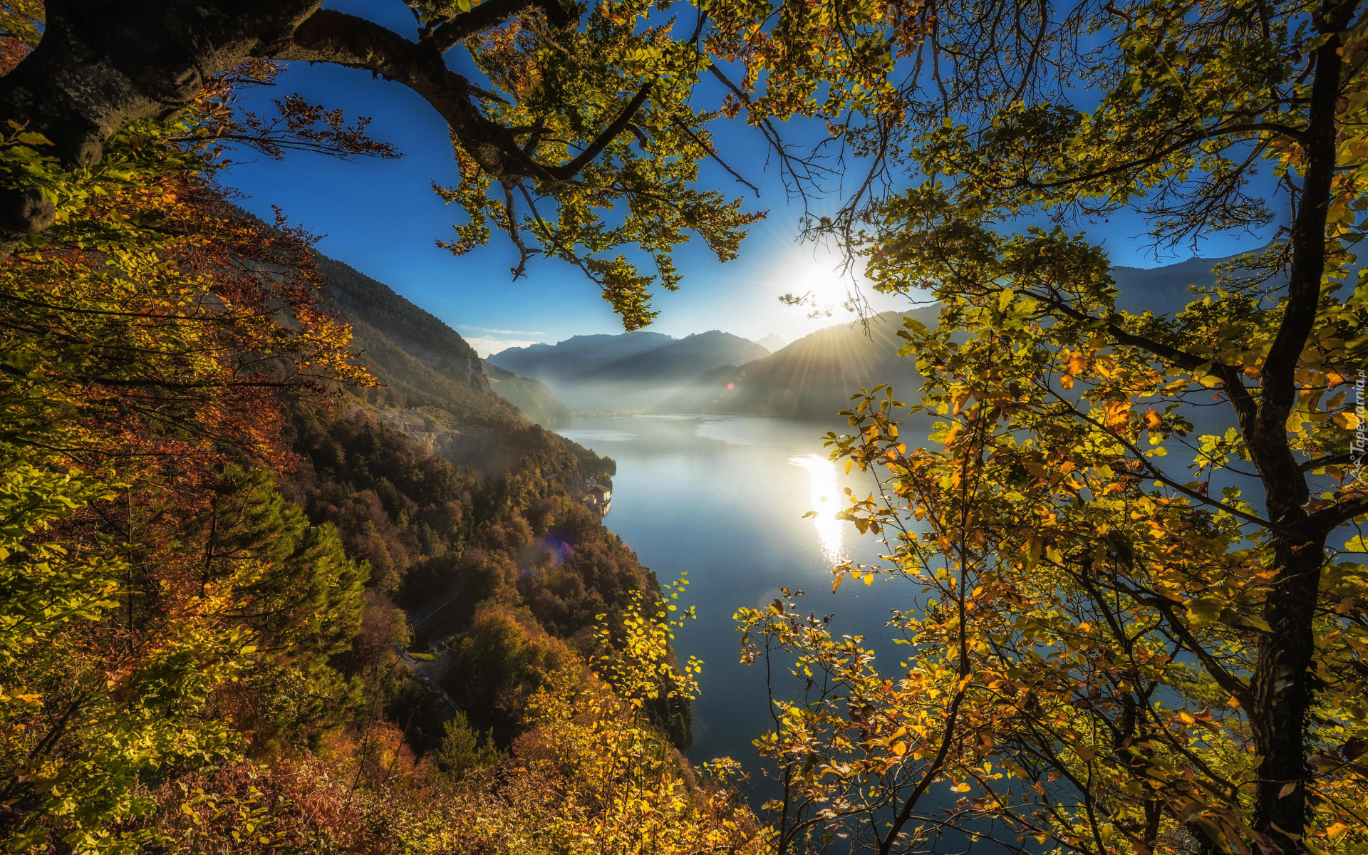 Jesień, Drzewa, Góry, Alpy, Jezioro, Lake Thun, Jezioro, Thunersee, Wschód słońca, Mgła, Kanton Berno, Szwajcaria