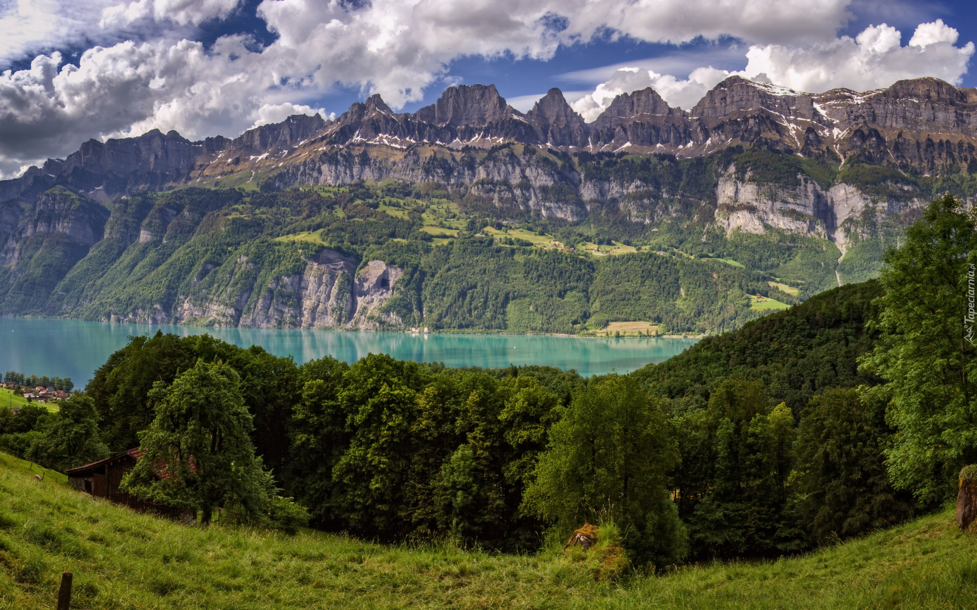 Lasy, Drzewa, Góry, Alpy, Pasmo górskie, Churfirsten, Jezioro, Walensee, Łąka, Trawa, Chmury, Szwajcaria