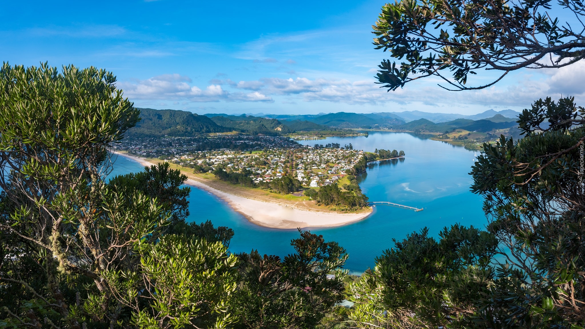 Drzewa, Rzeka, Tairua River, Pauanui, Region Waikato, Nowa Zelandia