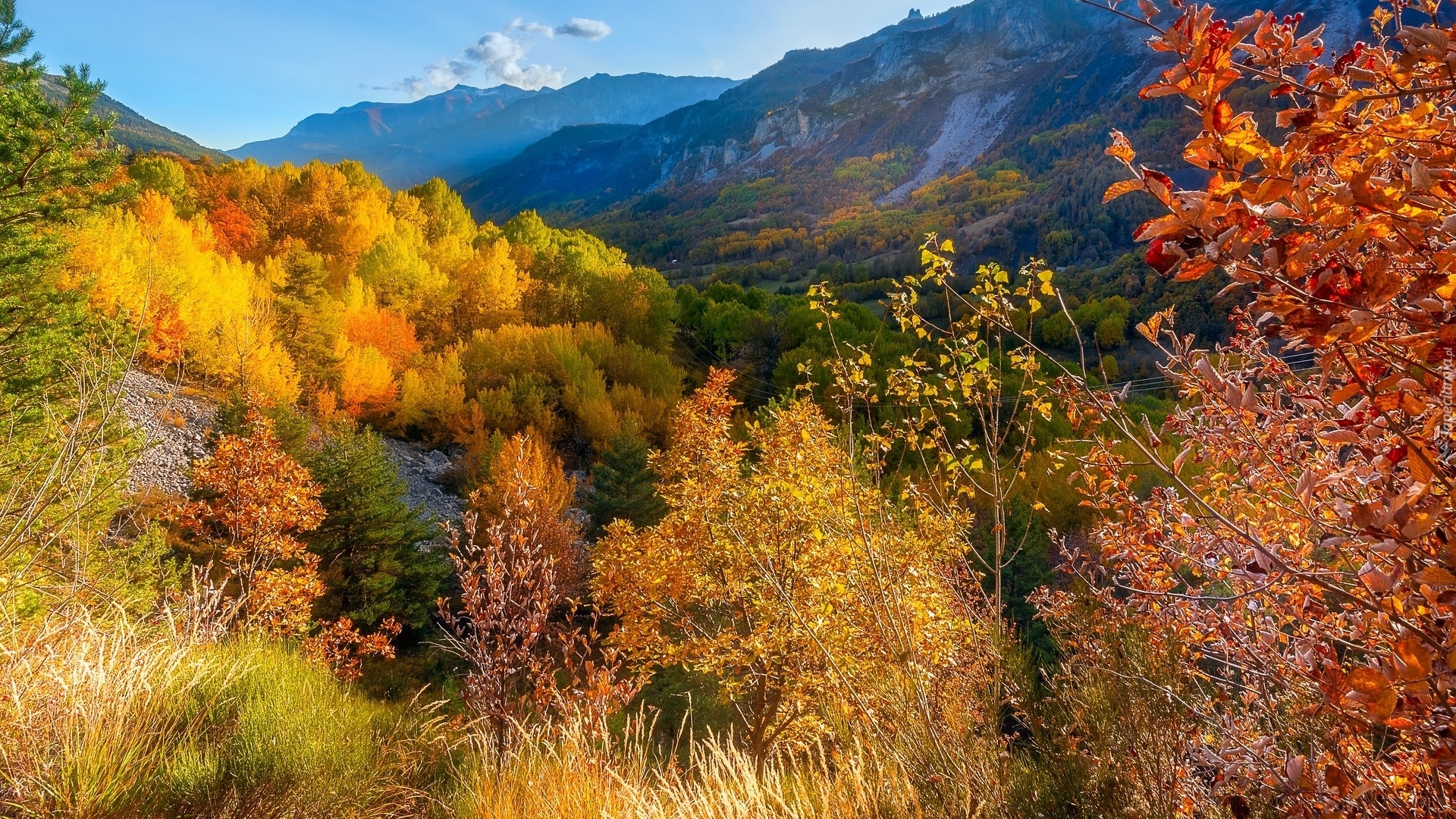 Jesień, Góry, Alpy, Kolorowe, Drzewa, Przełęcz, Col de la Cayolle, Francja