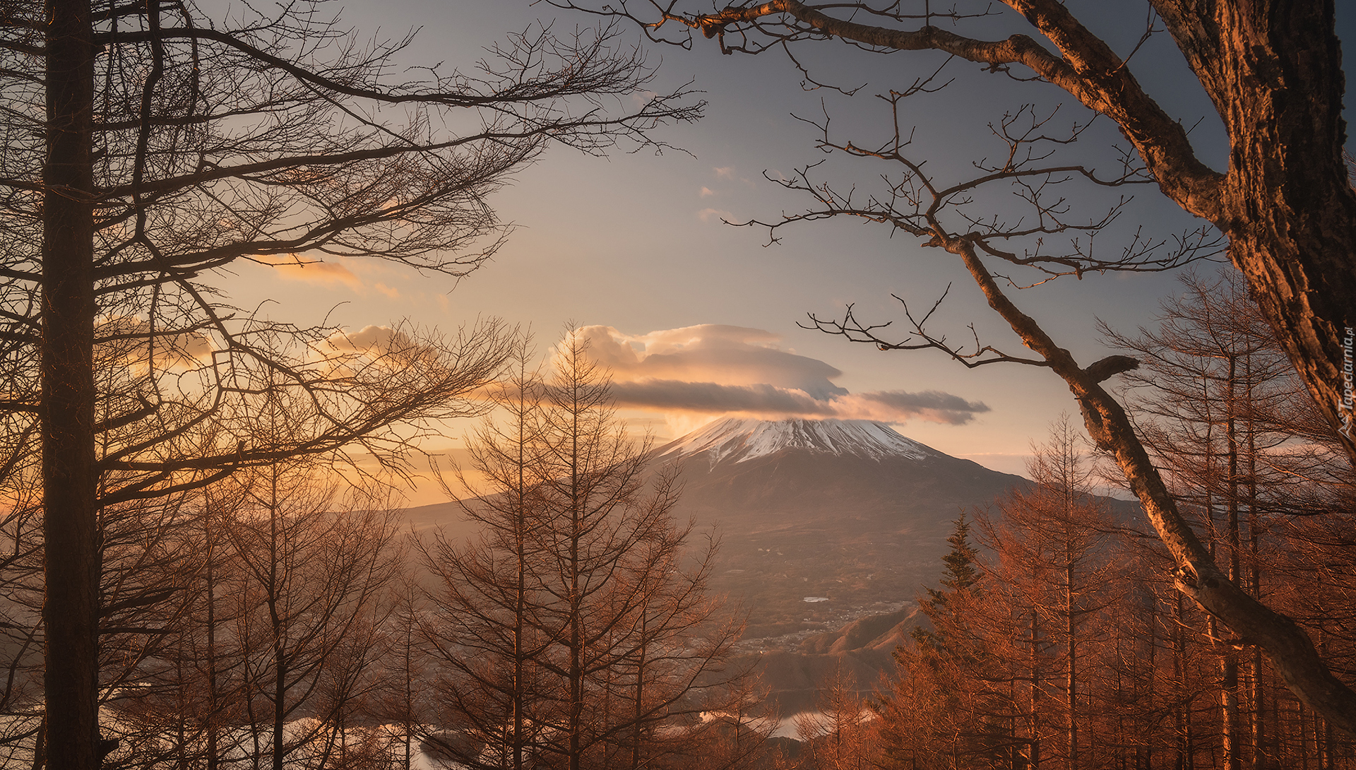 Drzewa, Góra, Stratowulkan, Fudżi, Chmury, Wyspa Honsiu, Japonia
