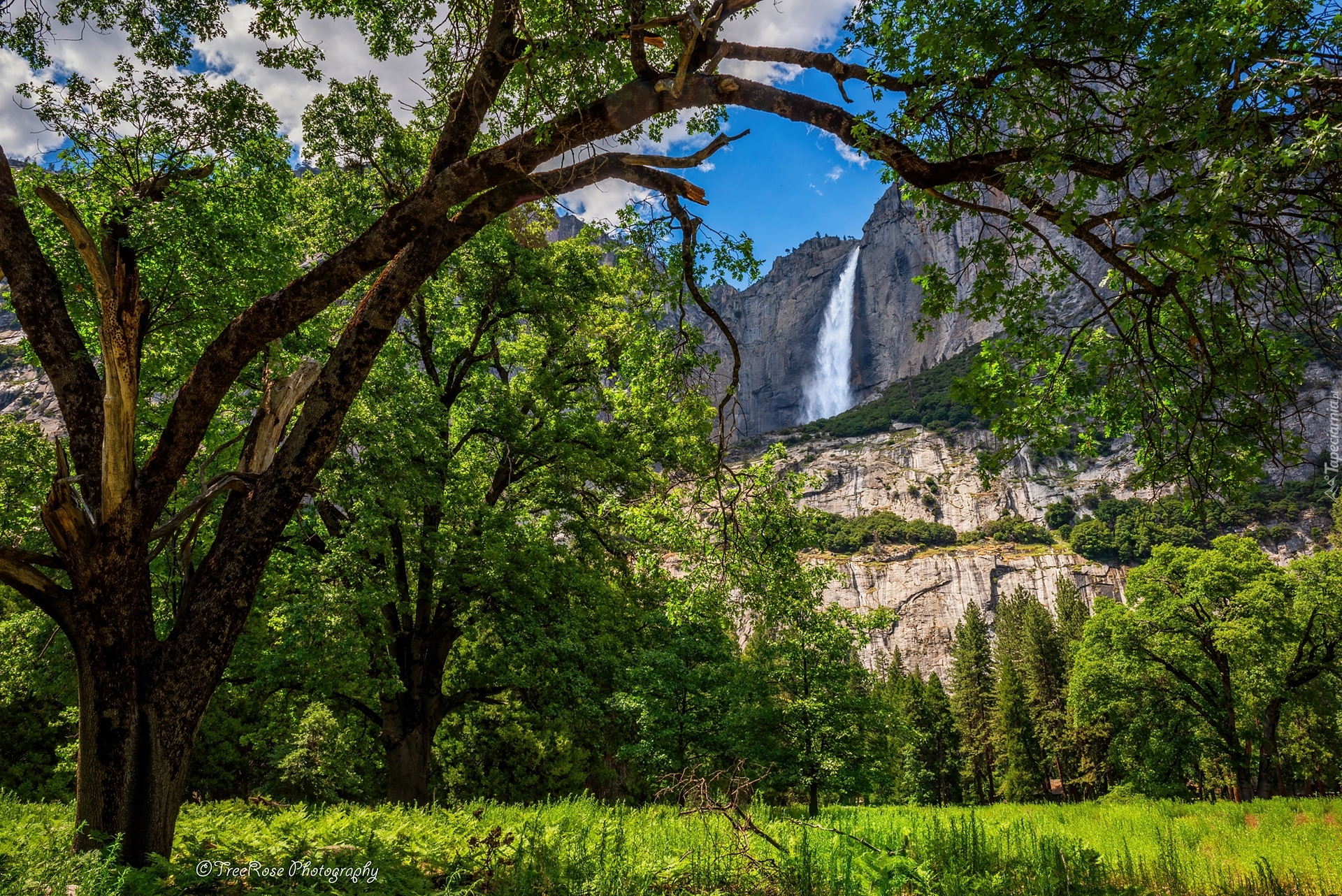 Stany Zjednoczone, Kalifornia, Drzewa, Wodospad, Park Narodowy Yosemite, Góry