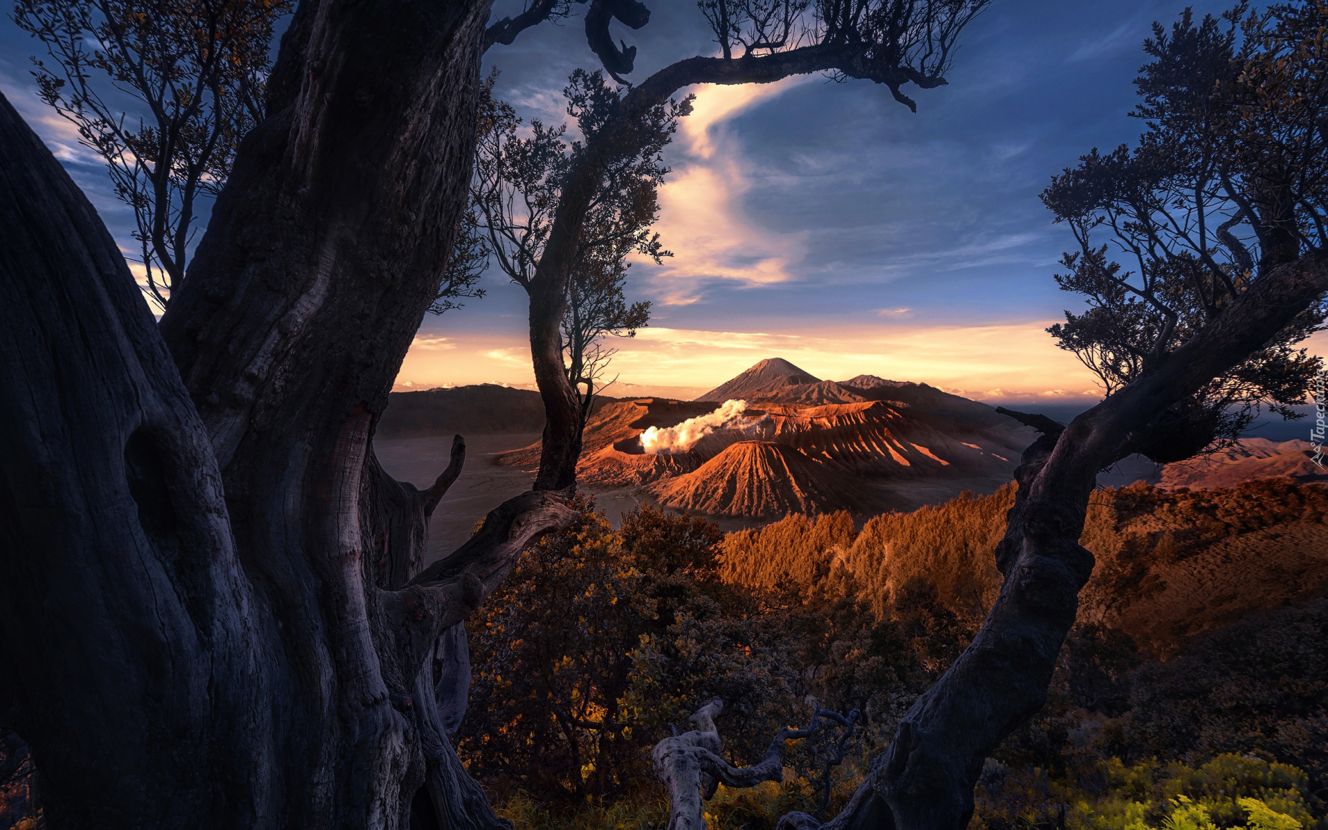 Góra Bromo, Wulkany, Chmury, Drzewa, Wyspa Jawa, Indonezja