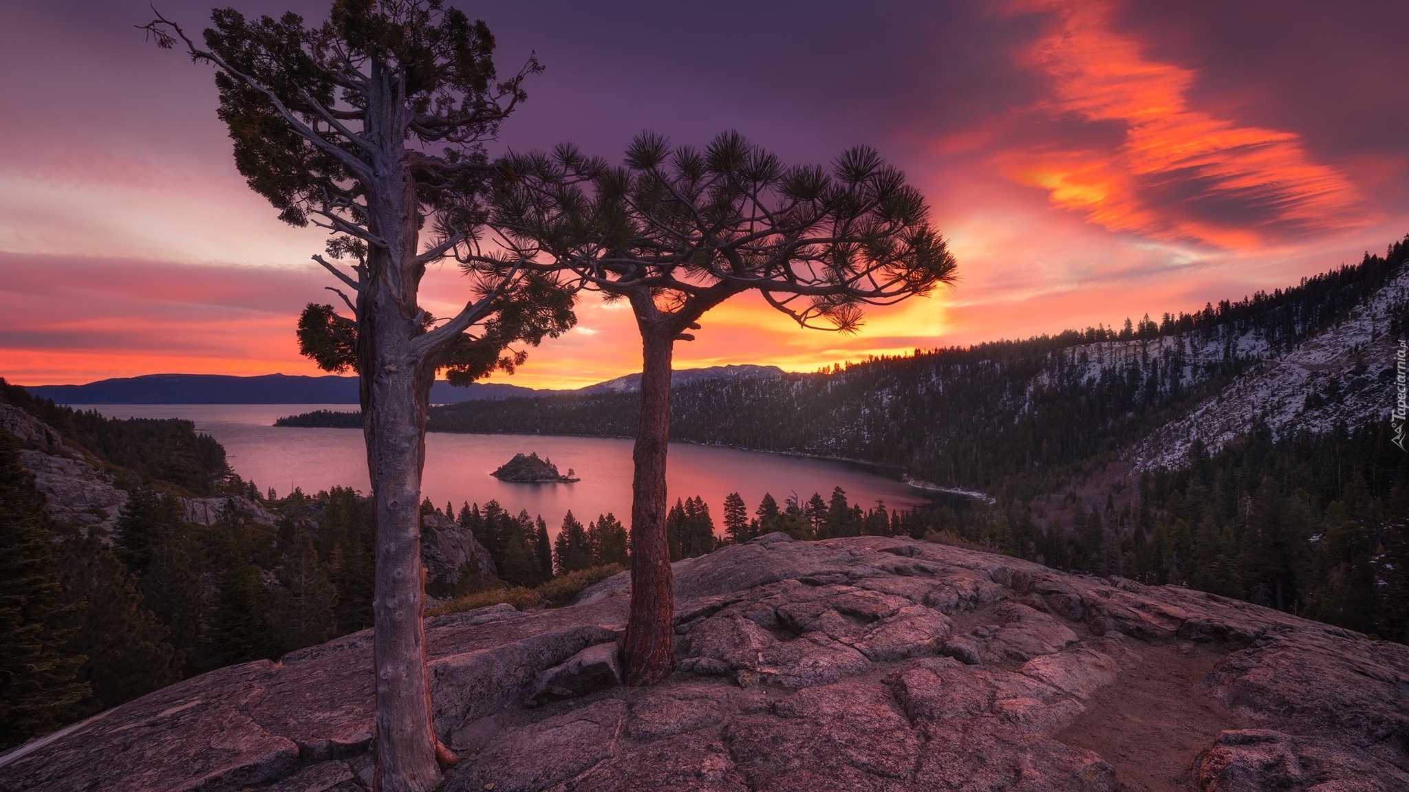 Jezioro, Tahoe Lake, Wyspa Fannette, Park Emerald Bay, Lasy, Drzewa, Kalifornia, Stany Zjednoczone