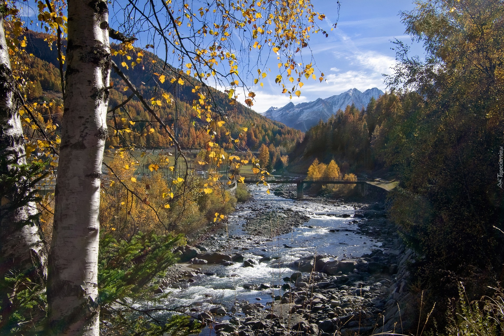 Jesień, Rzeka, Most, Drzewa, Góry, Park Narodowy Gran Paradiso, Dolina Aosty, Włochy