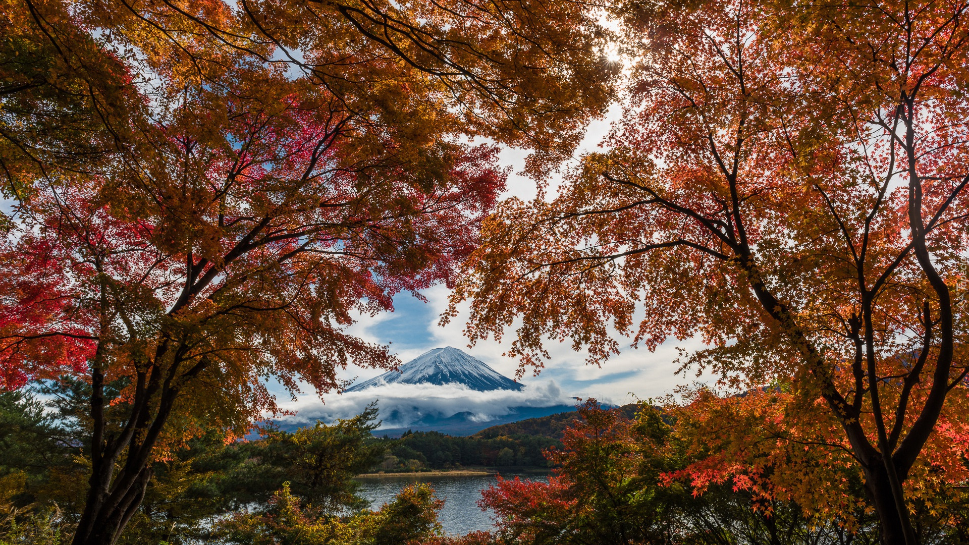 Jesień, Drzewa, Góra Fudżi, Jezioro, Lake Kawaguchi, Chmury, Jesień, Wyspa Honsiu, Japonia