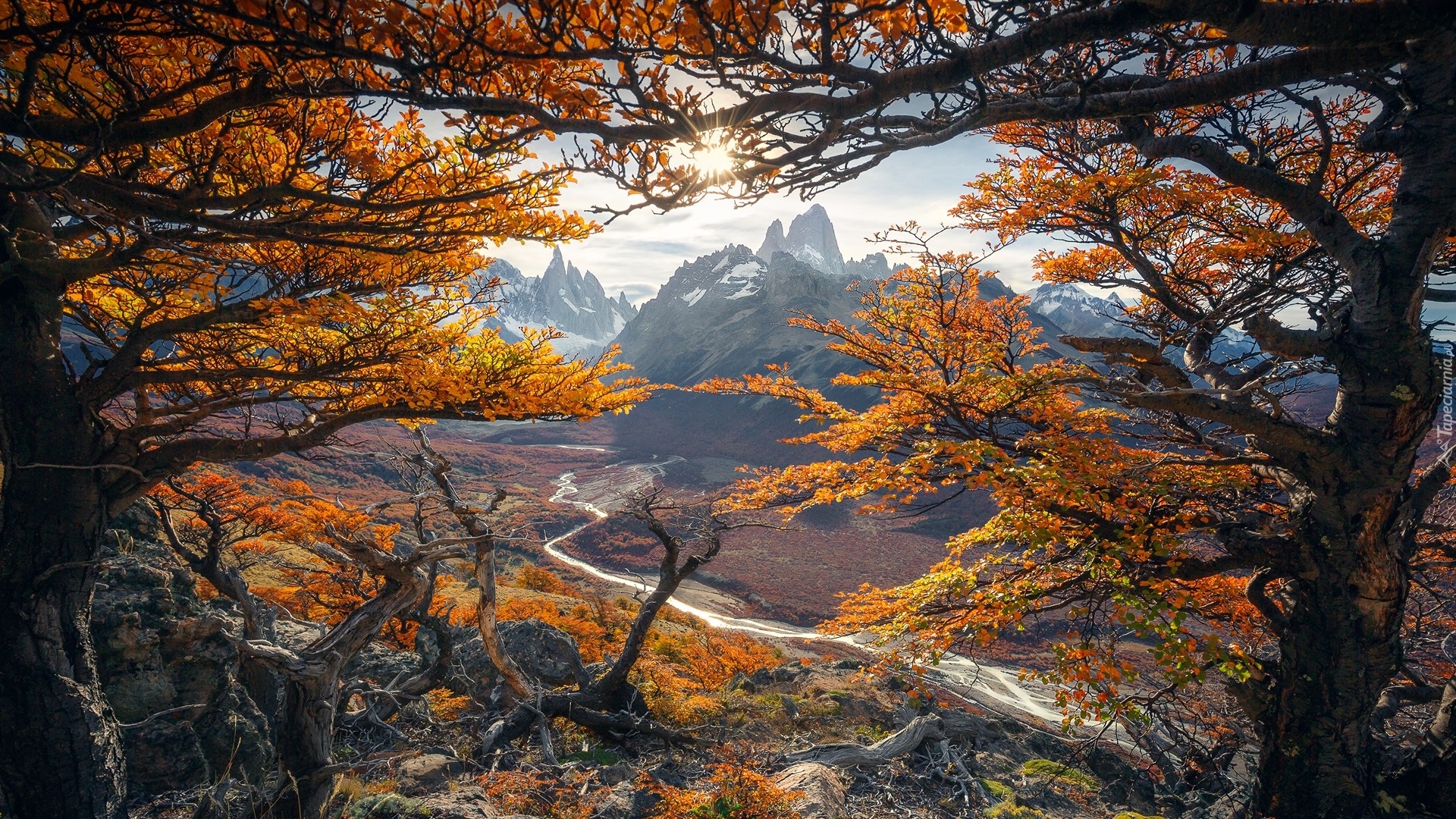 Argentyna, Patagonia, Park Narodowy Los Glaciares, Jesień, Góry, Szczyt Fitz Roy, Gałęzie, Drzewa, Rzeka Rio de las Vueltas, Promienie słońca