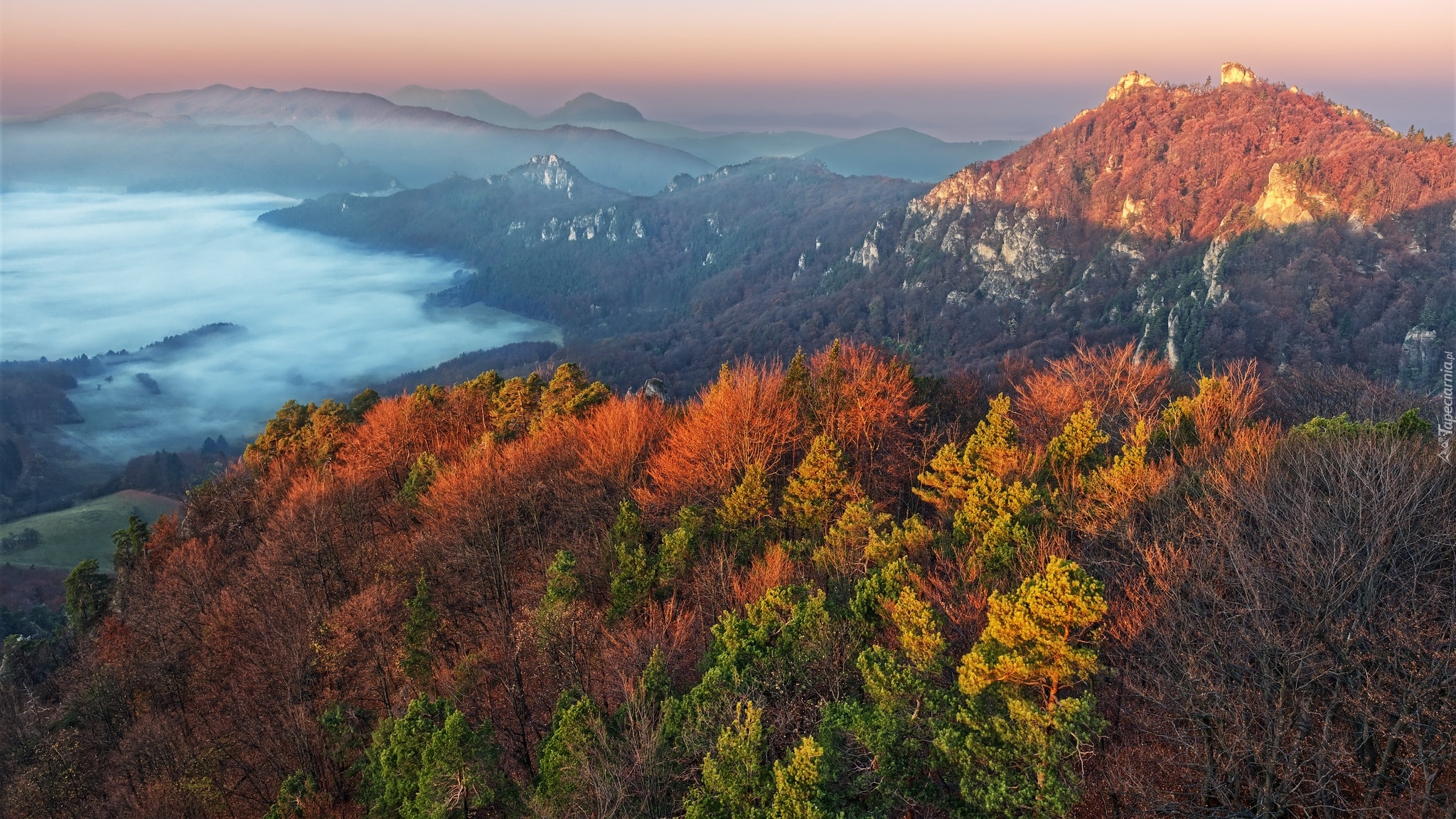 Góry, Jesień, Mgła, Dolina, Kolorowe, Drzewa, Lasy