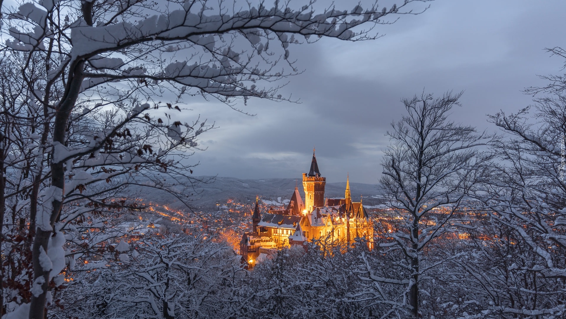 Oświetlony, Zamek Wernigerode, Zima, Drzewa, Wernigerode, Powiat Harz, Niemcy