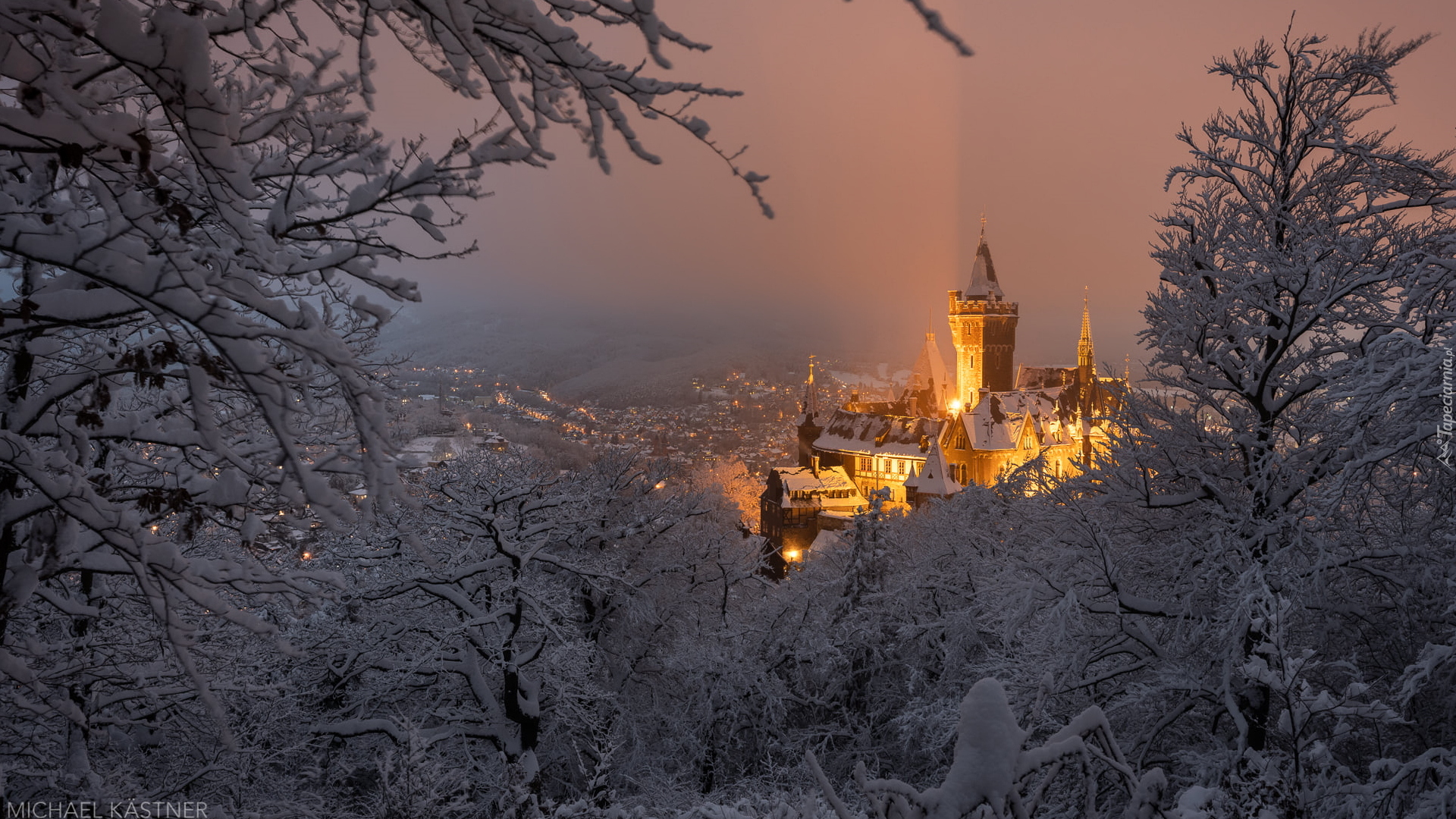 Oświetlony, Zamek Wernigerode, Drzewa, Zima, Wernigerode, Powiat Harz, Niemcy