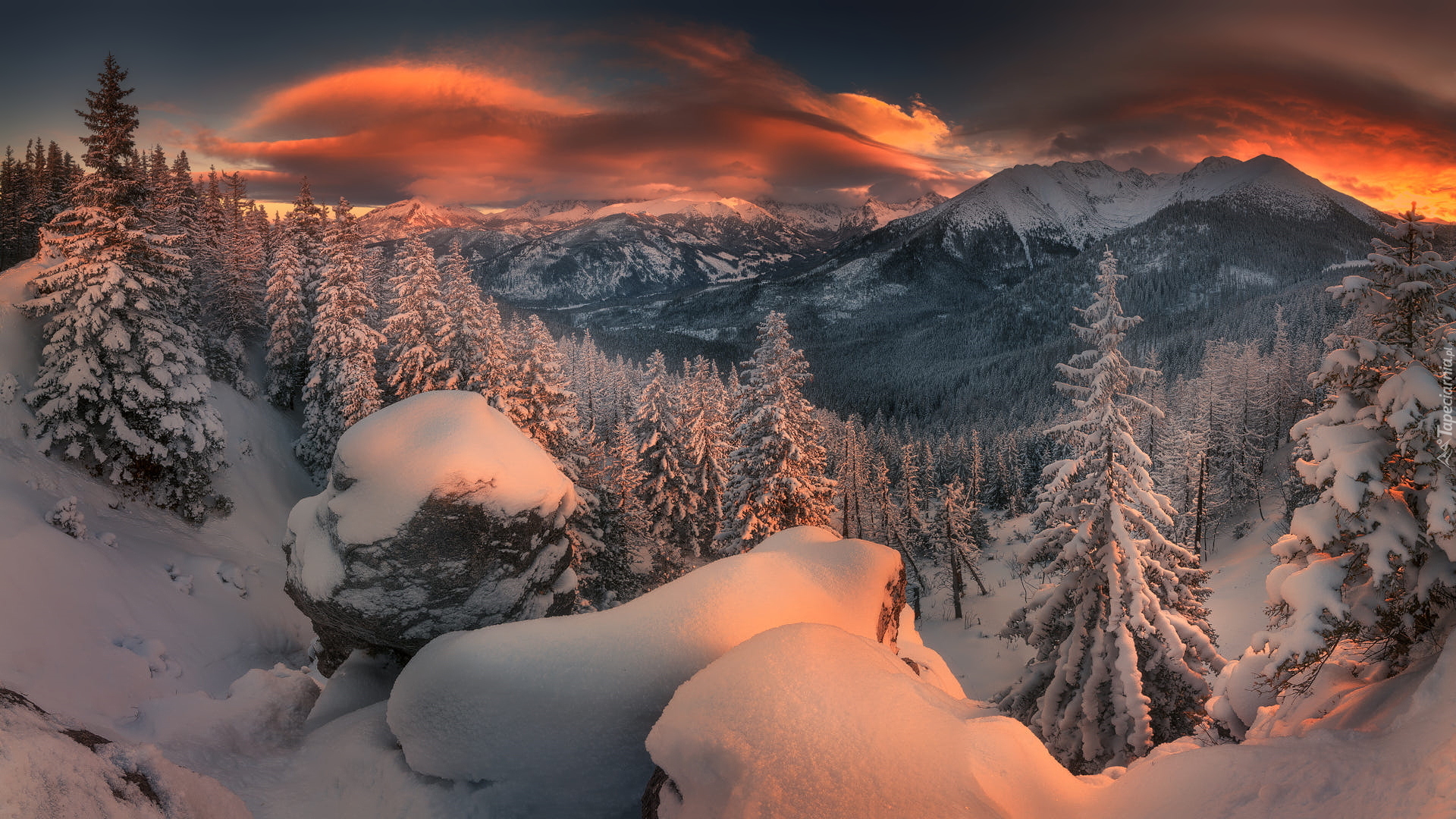 Zima, Ośnieżone, Lasy, Drzewa, Zachód słońca, Góry Tatry, Polska