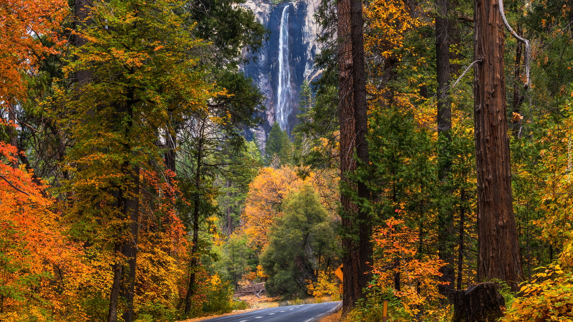 Jesień, Las, Drzewa, Droga, Wodospad, Bridalveil Fall, Park Narodowy Yosemite, Kalifornia, Stany Zjednoczone