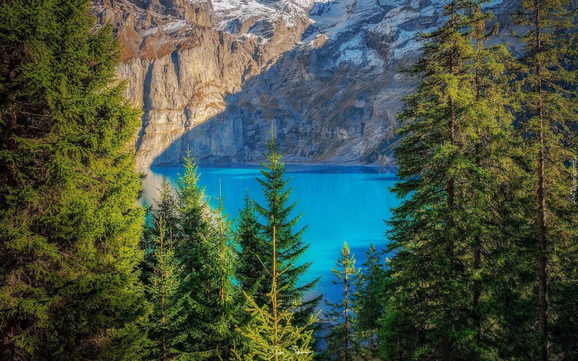 Szwajcaria, Góry, Alpy, Jezioro, Oeschinen Lake, Drzewa