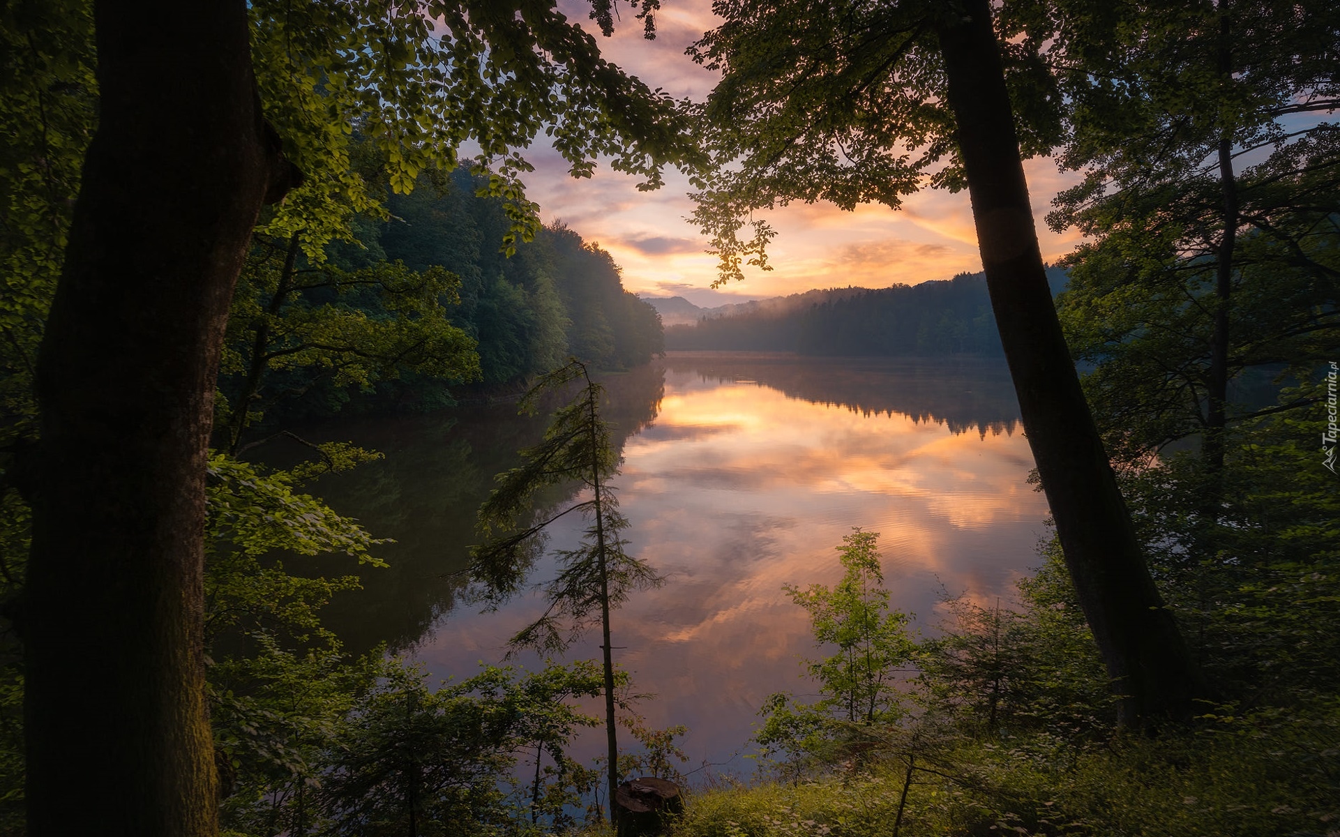 Jezioro, Las, Drzewa, Zachód słońca