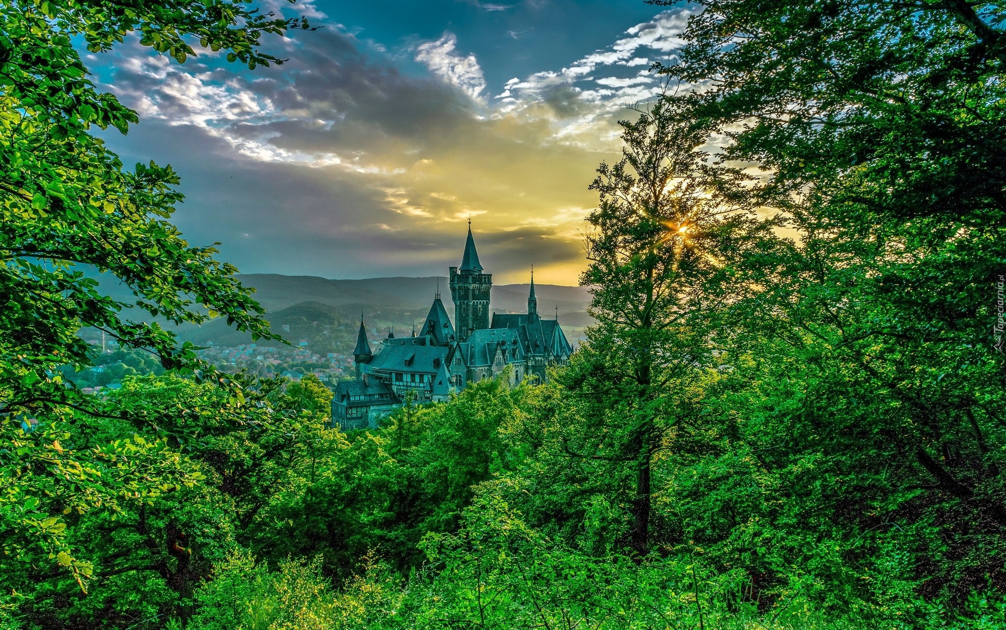 Zamek Wernigerode, Drzewa, Las, Chmury, Zachód słońca, Wernigerode, Powiat Harz, Niemcy