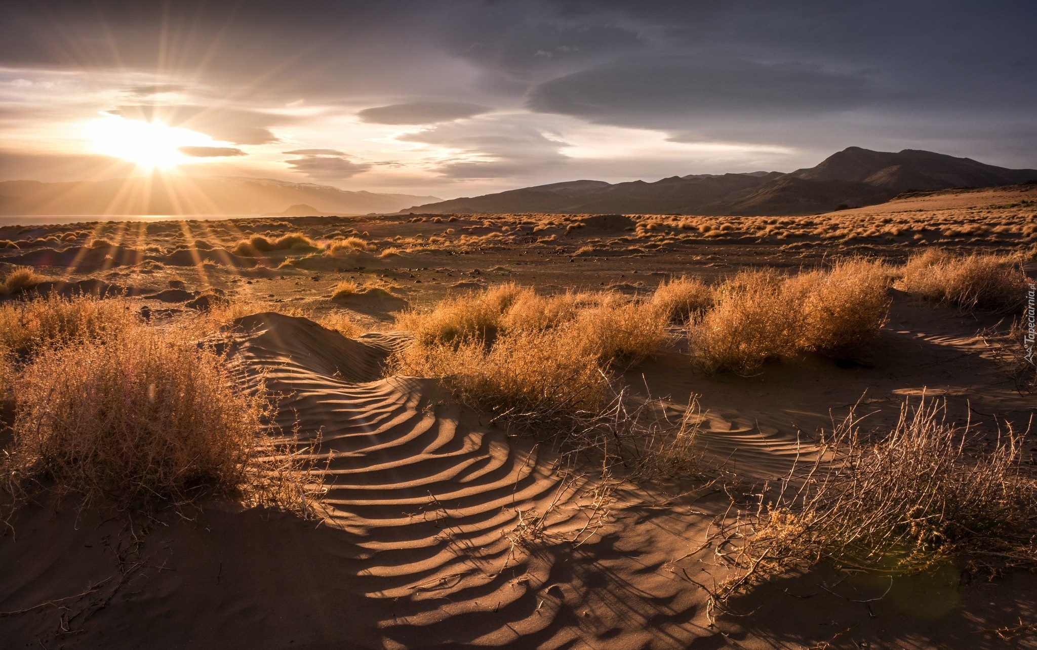 Stany Zjednoczone, Stan Nevada, Great Salt Lake Desert, Wielka Pustynia Słona, Wschód, Promienie słońca, Trawa