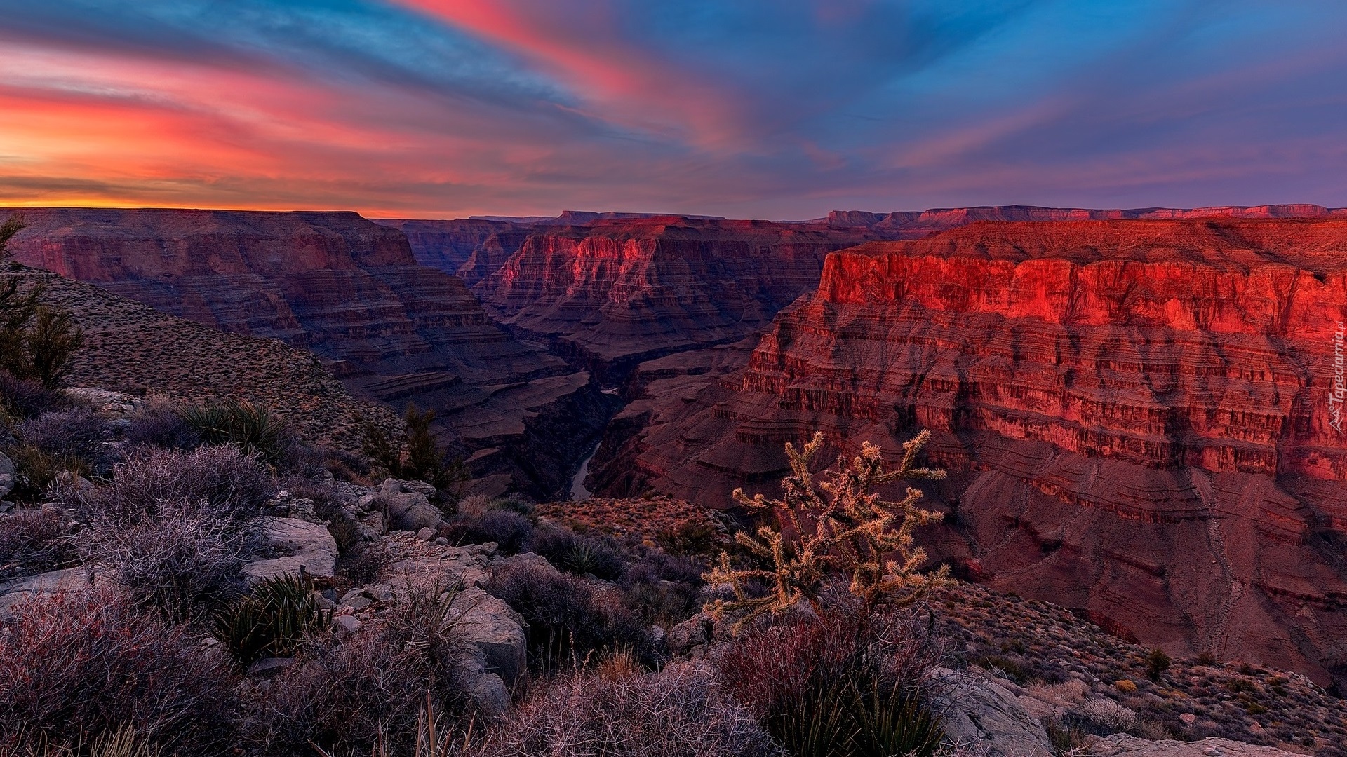 Park Narodowy Wielkiego Kanionu, Góry, Rośliny, Wielki Kanion Kolorado, Grand Canyon, Zachód słońca, Arizona, Stany Zjednoczone